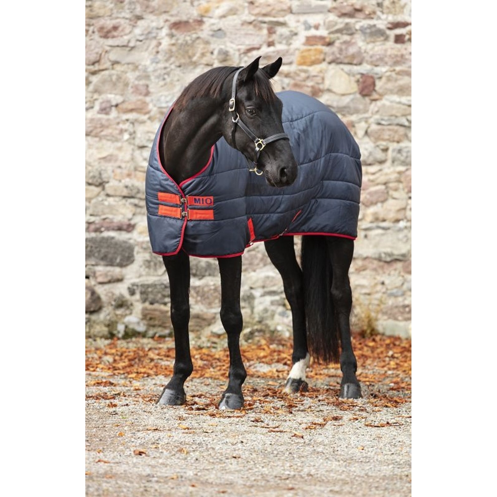 Mio Insulator Medium 150g