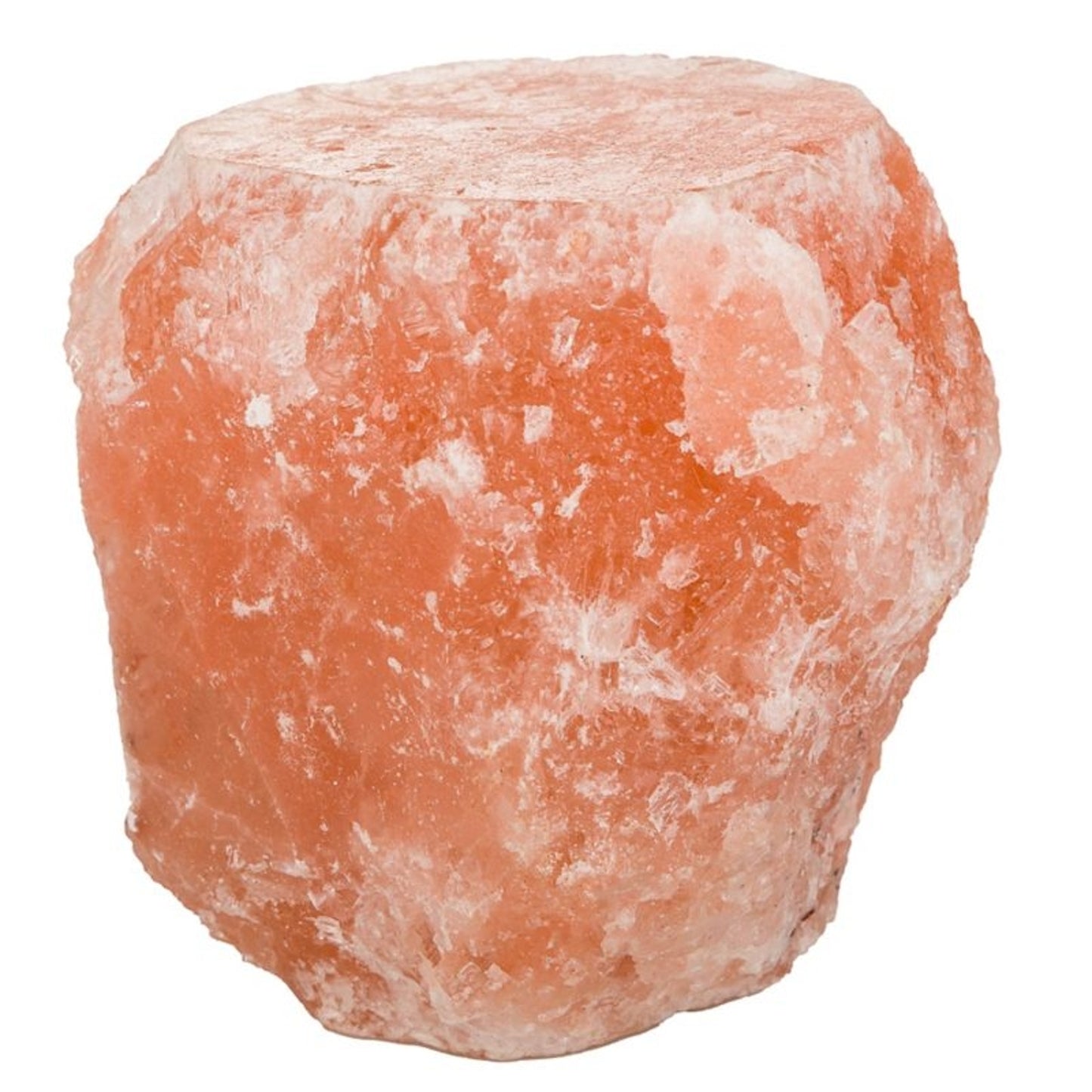 TE029425.jpg