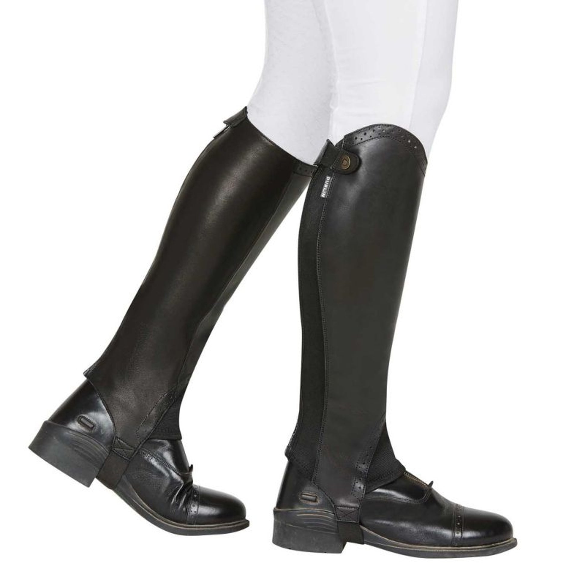 Dublin Evolution Rear Zip Half Chaps