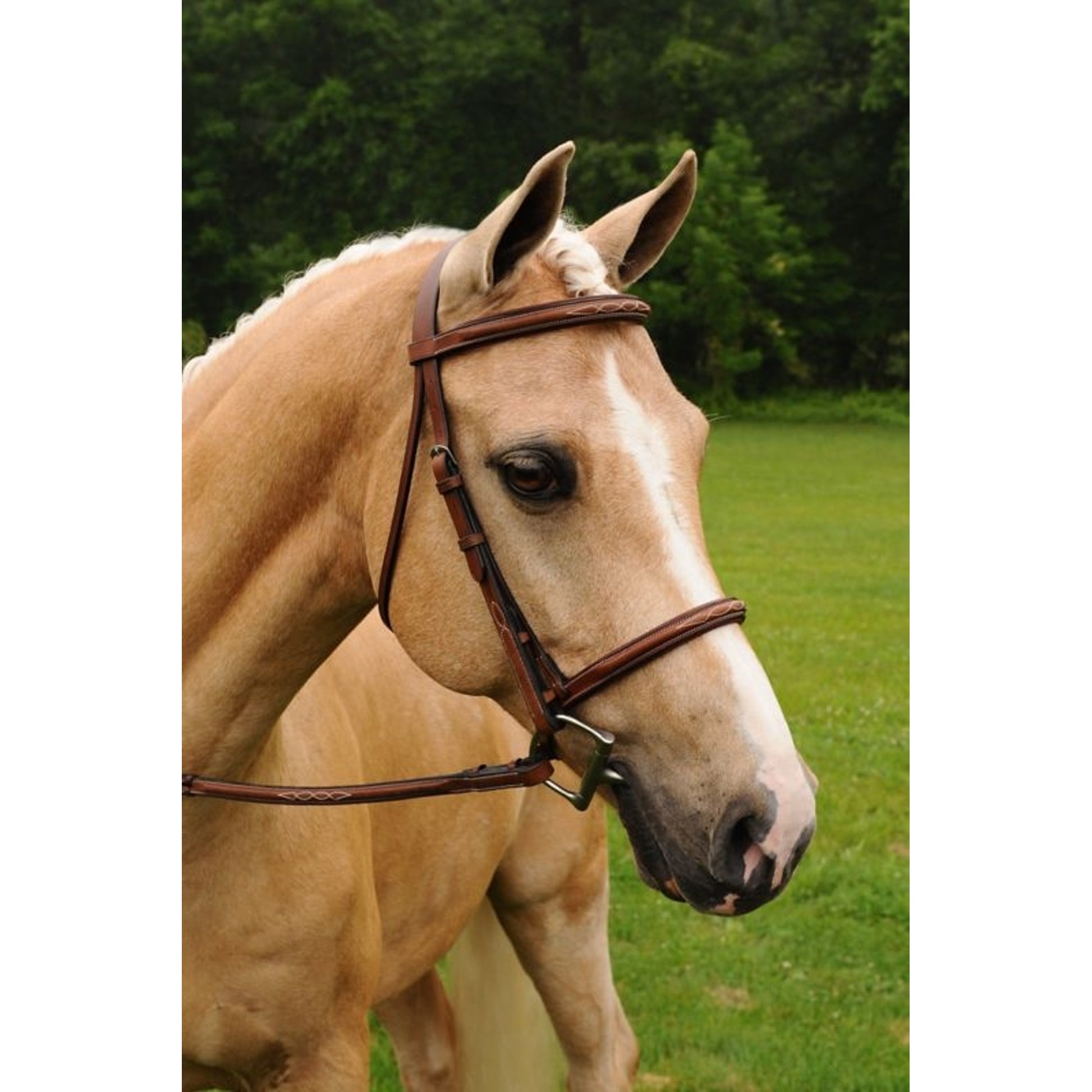 Arc de Triomphe Imperial Bridle