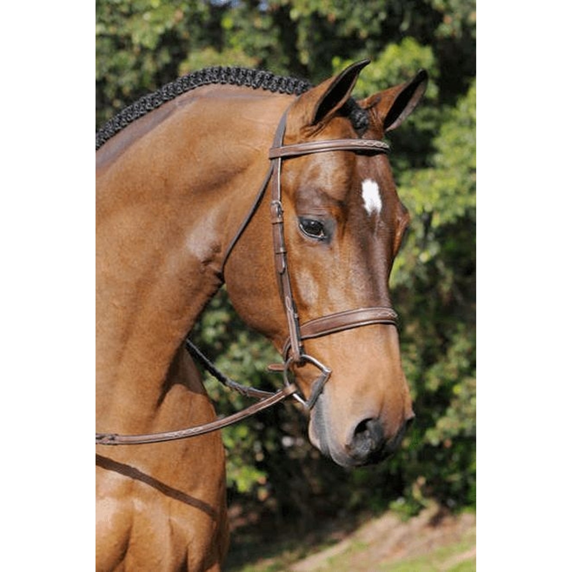 Arc de Triomphe Tribute Bridle with Reins
