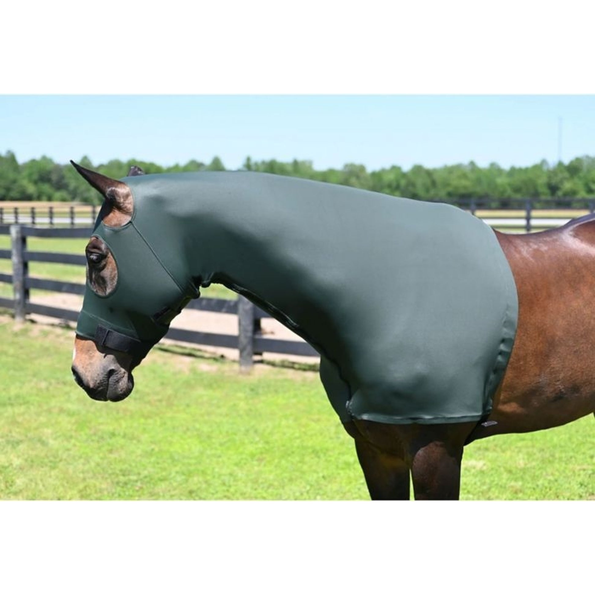 StretchX Full Zipper Slicker Hood