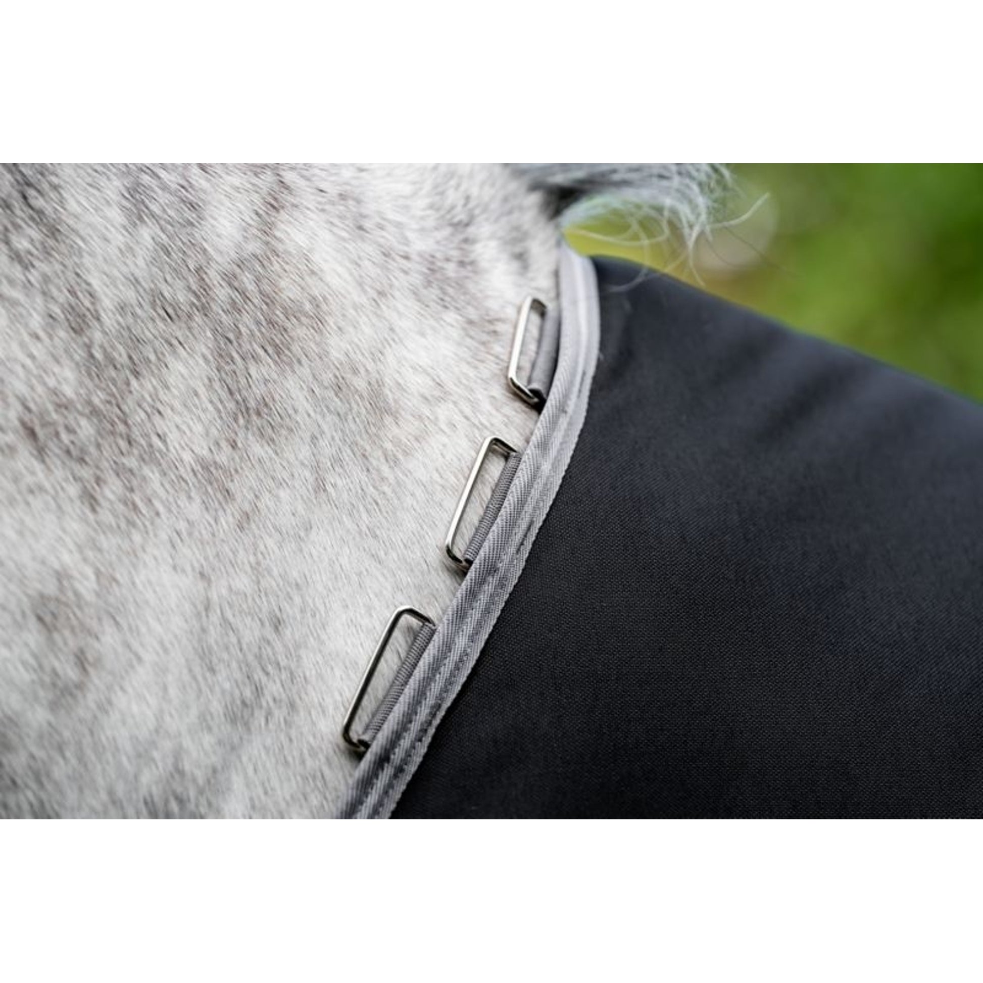 Amigo Bravo 12 XL Original T/O Lite