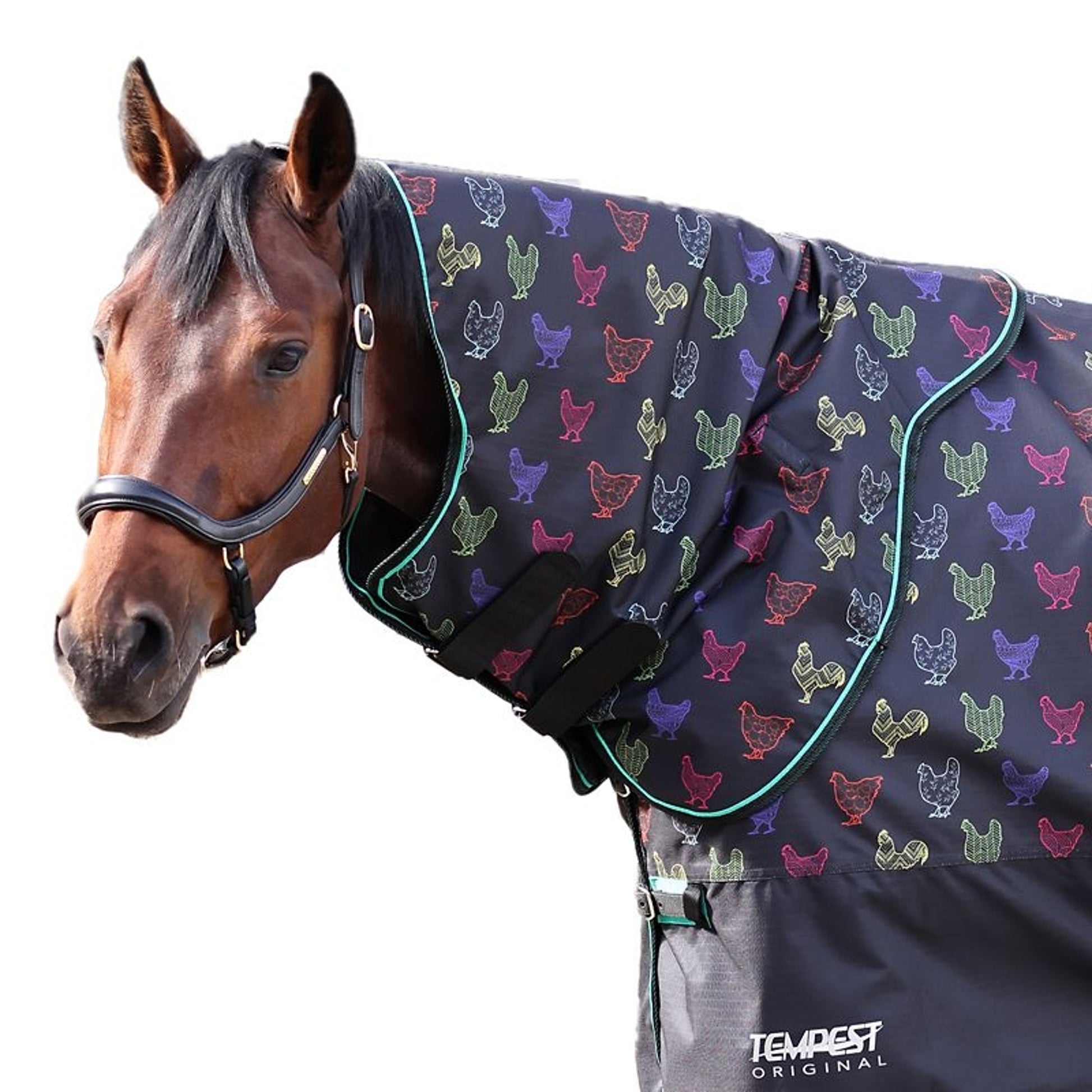Shires Tempest Org Lite Hood