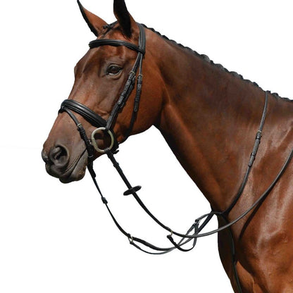 Collegiate Syntovia Martingale