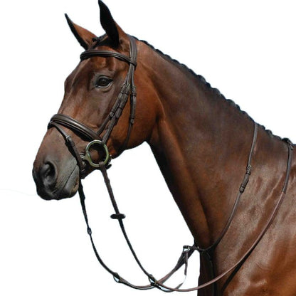 Collegiate Syntovia Martingale
