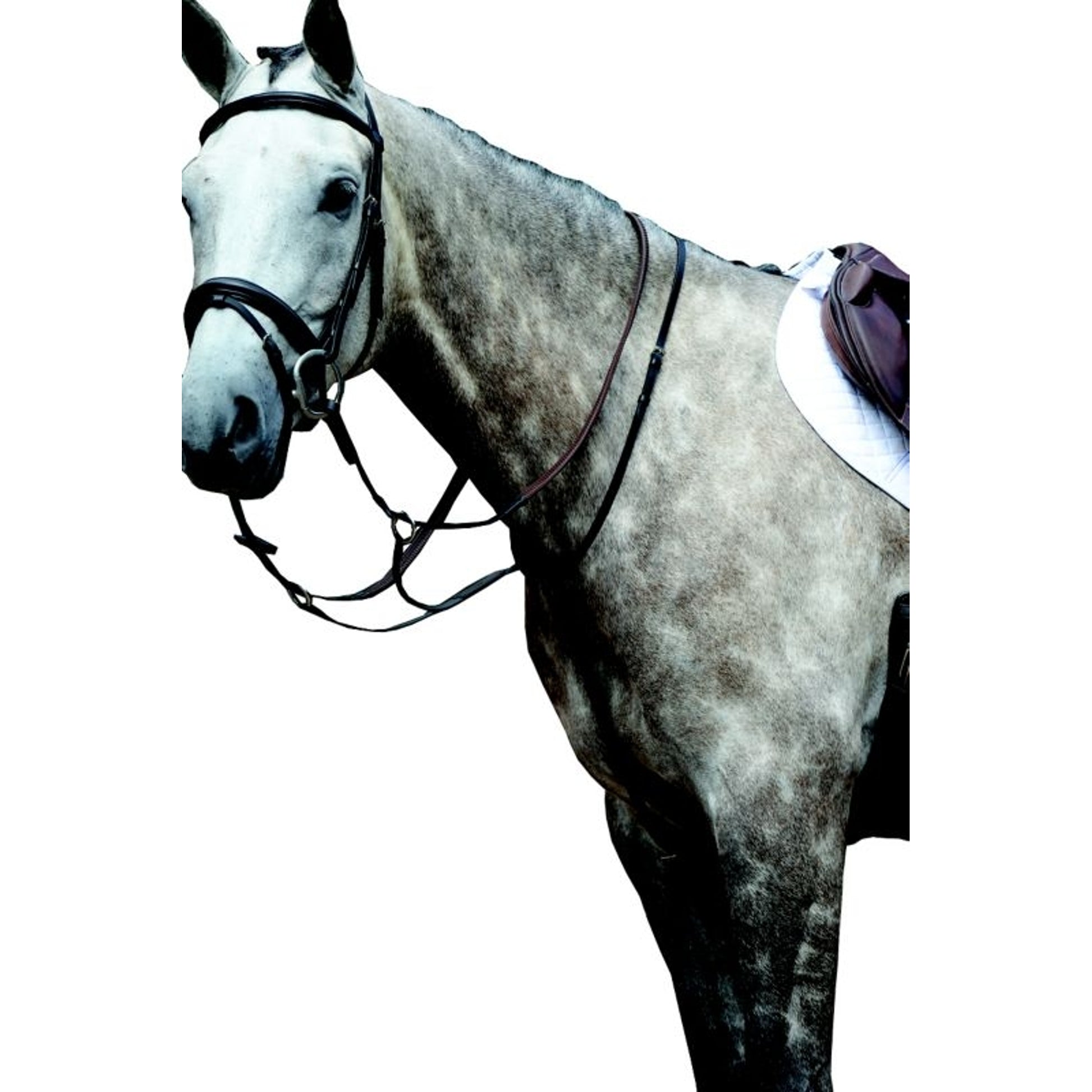 Collegiate Essential Flat Martingale