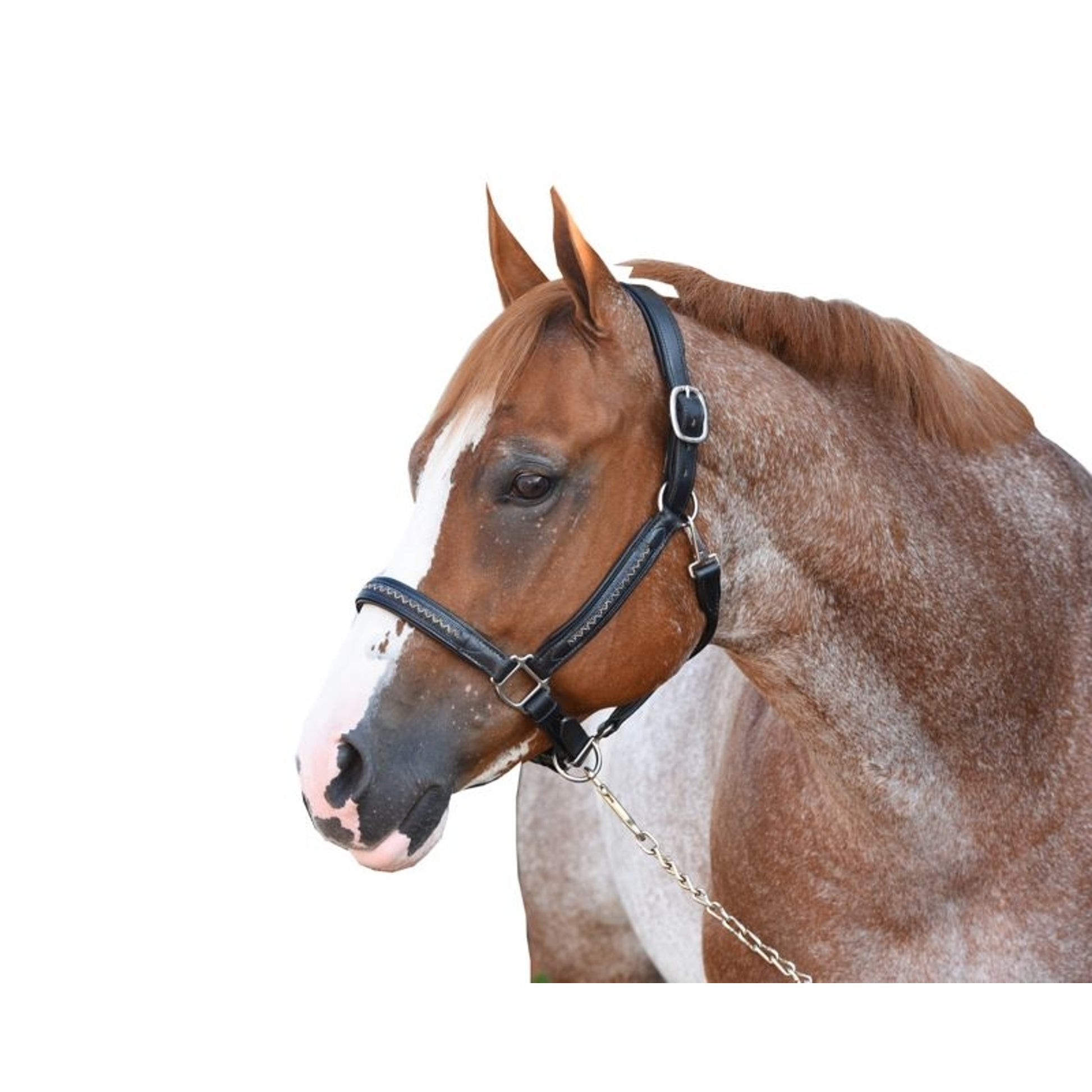 Perris Chevron Bling Halter