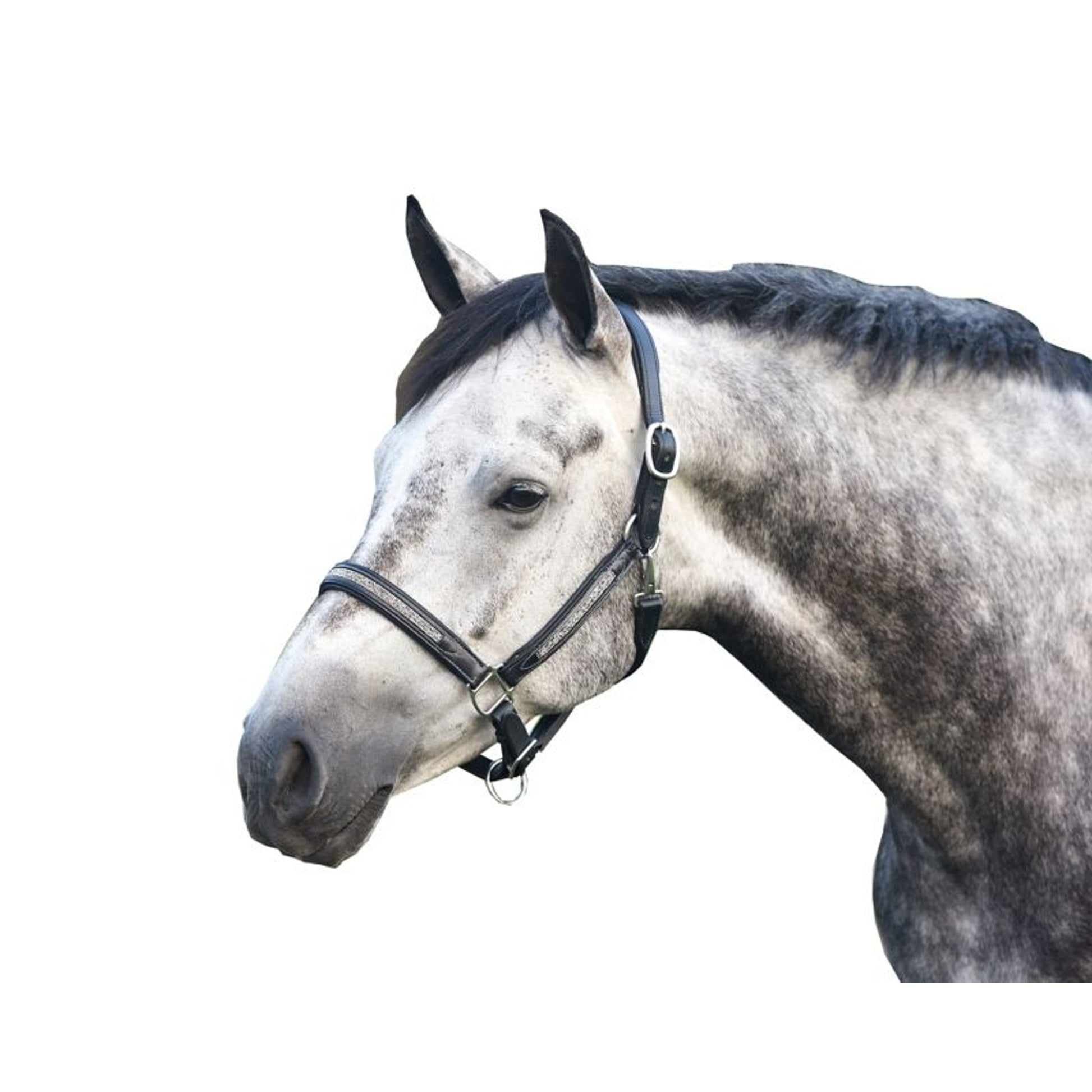 Perris Silver Bling Padded Halter