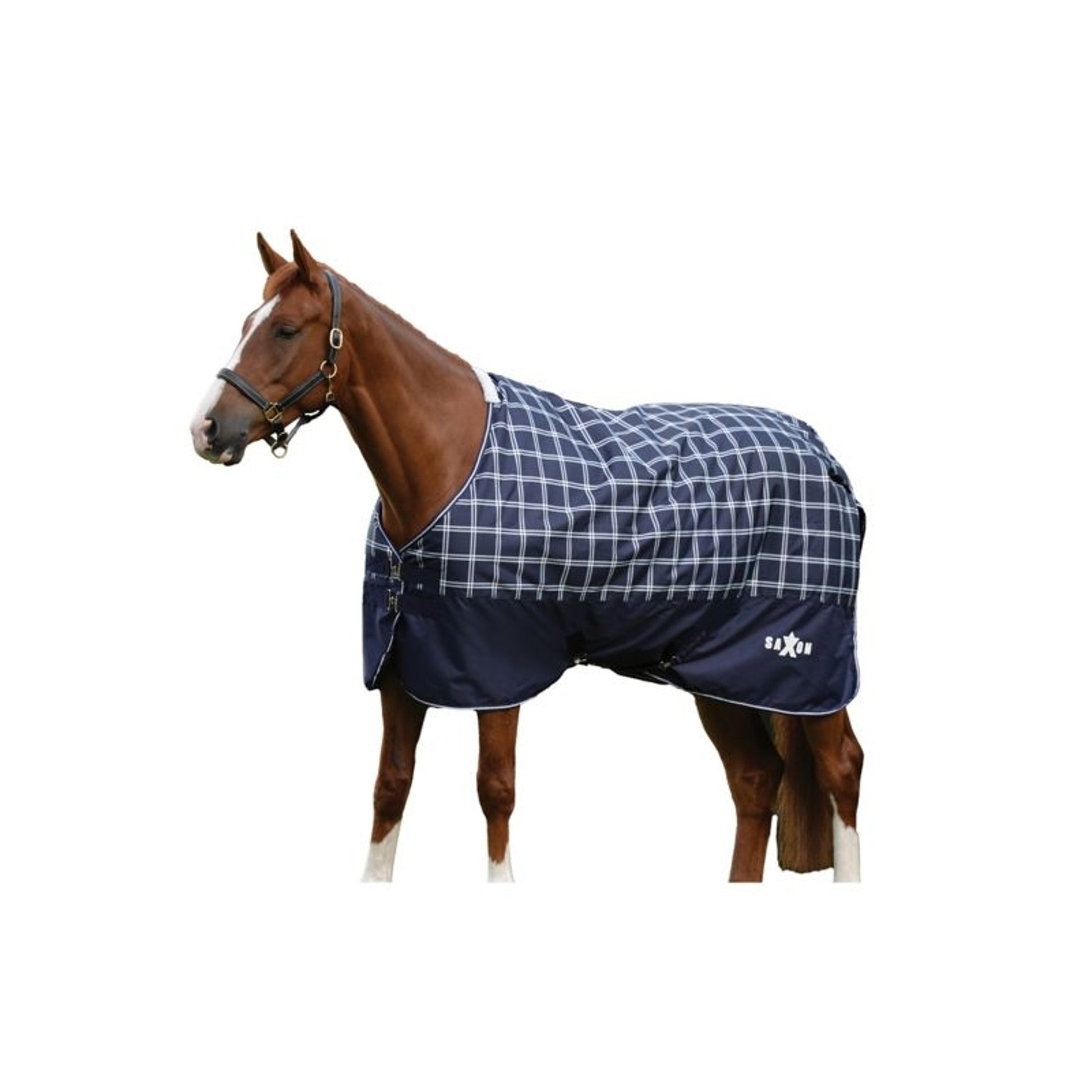 Saxon Defiant 600D Blanket Medium