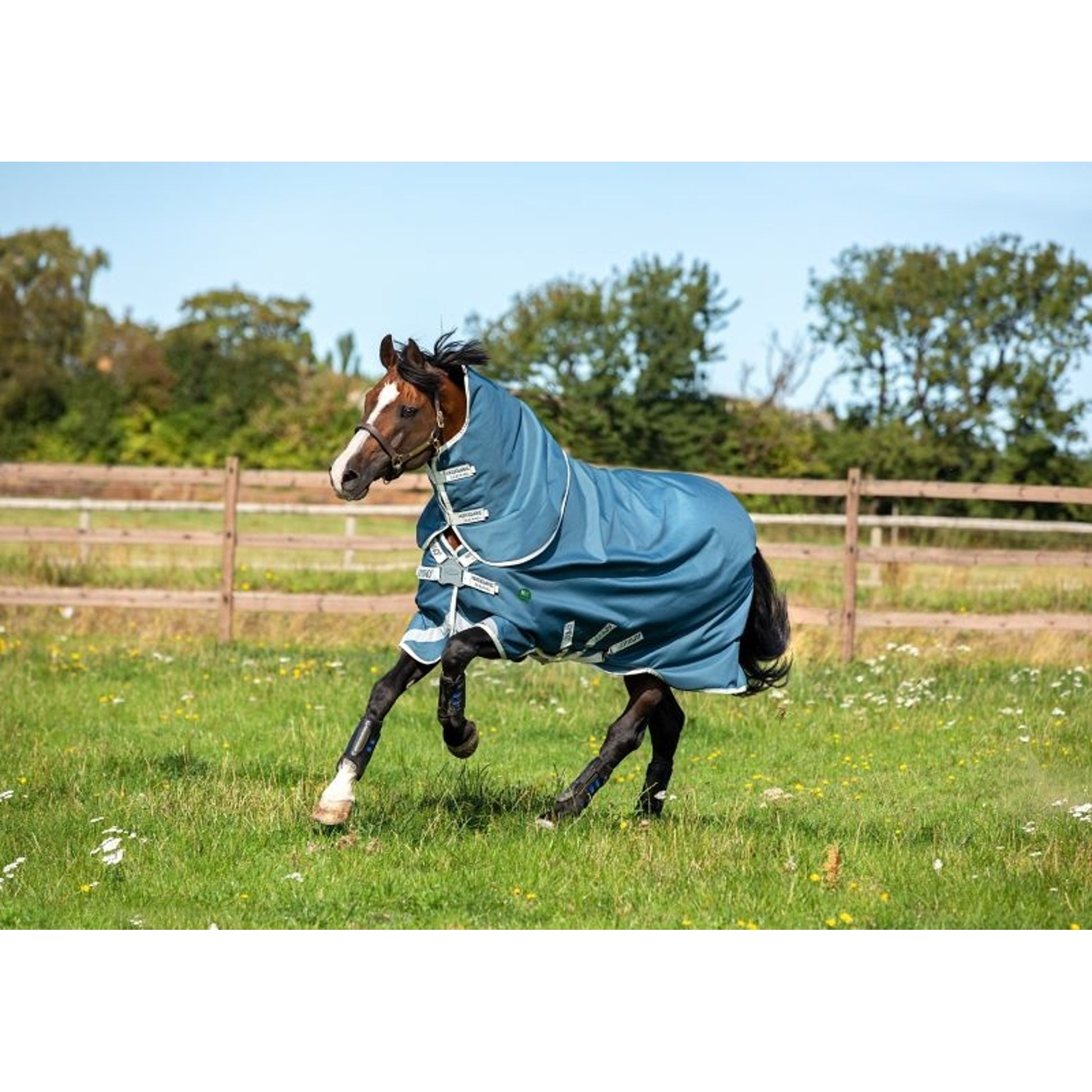 AmEco Bravo 12 Plus Turnout Sheet