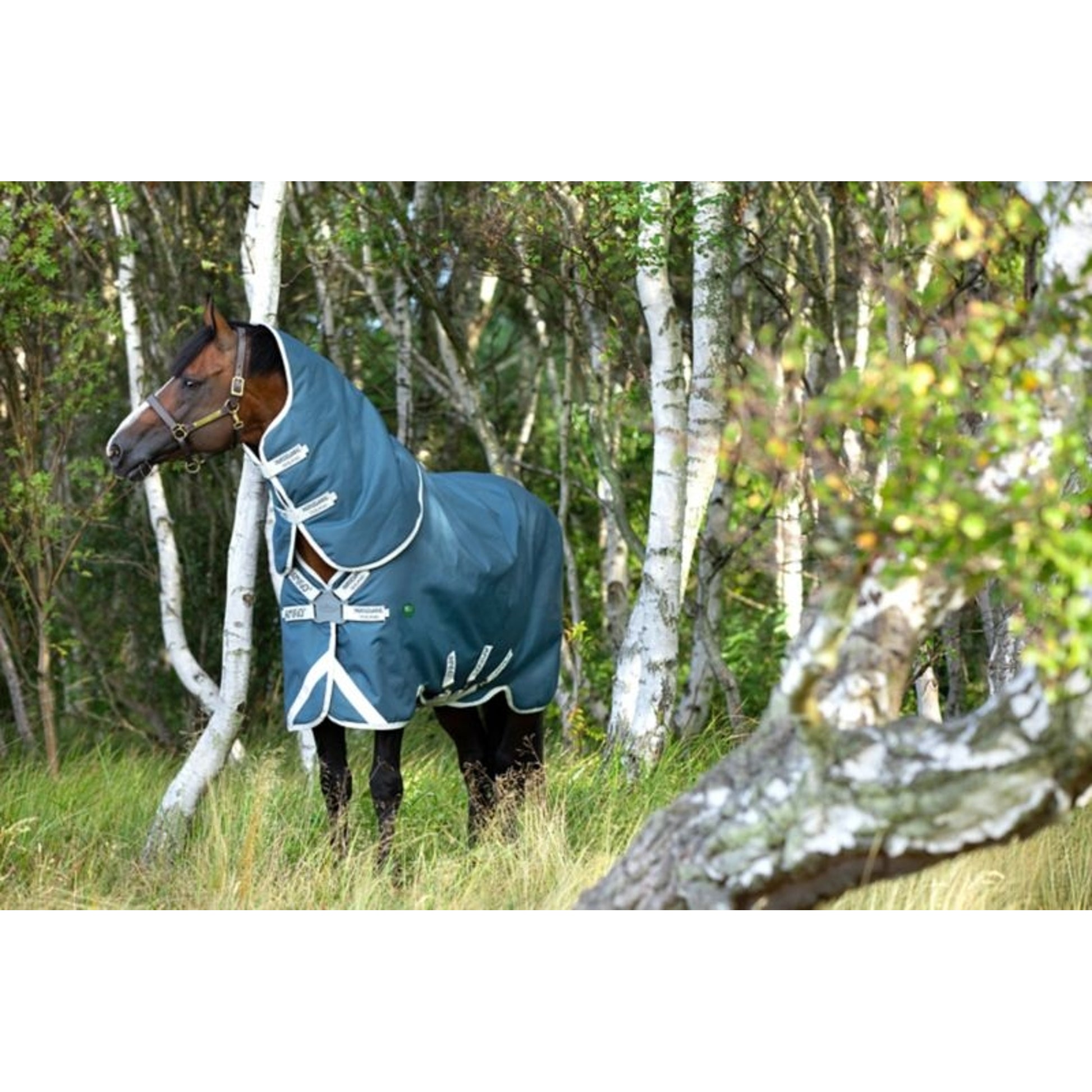AmEco Bravo 12 Plus Turnout Sheet