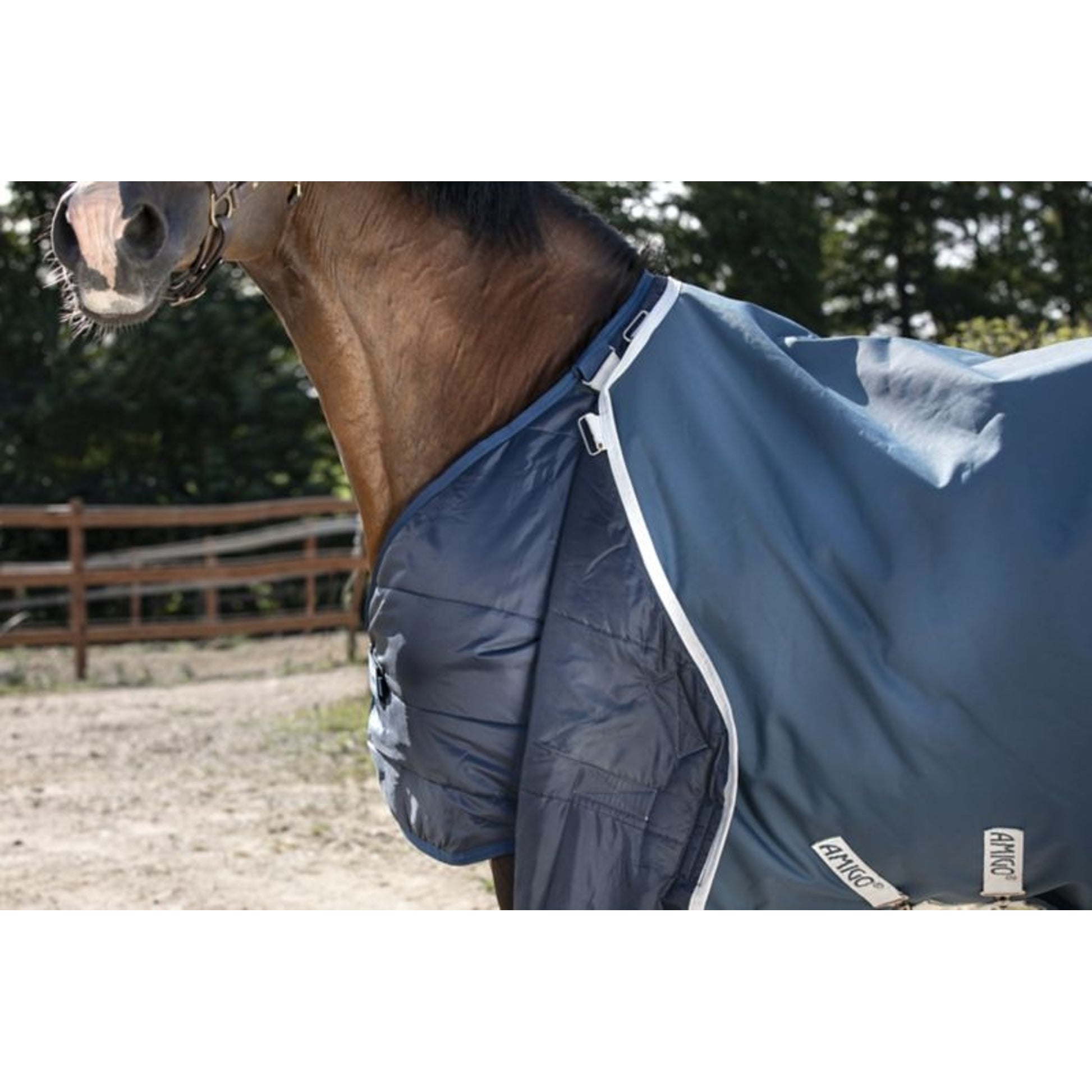 AmEco Bravo 12 Plus Turnout Sheet
