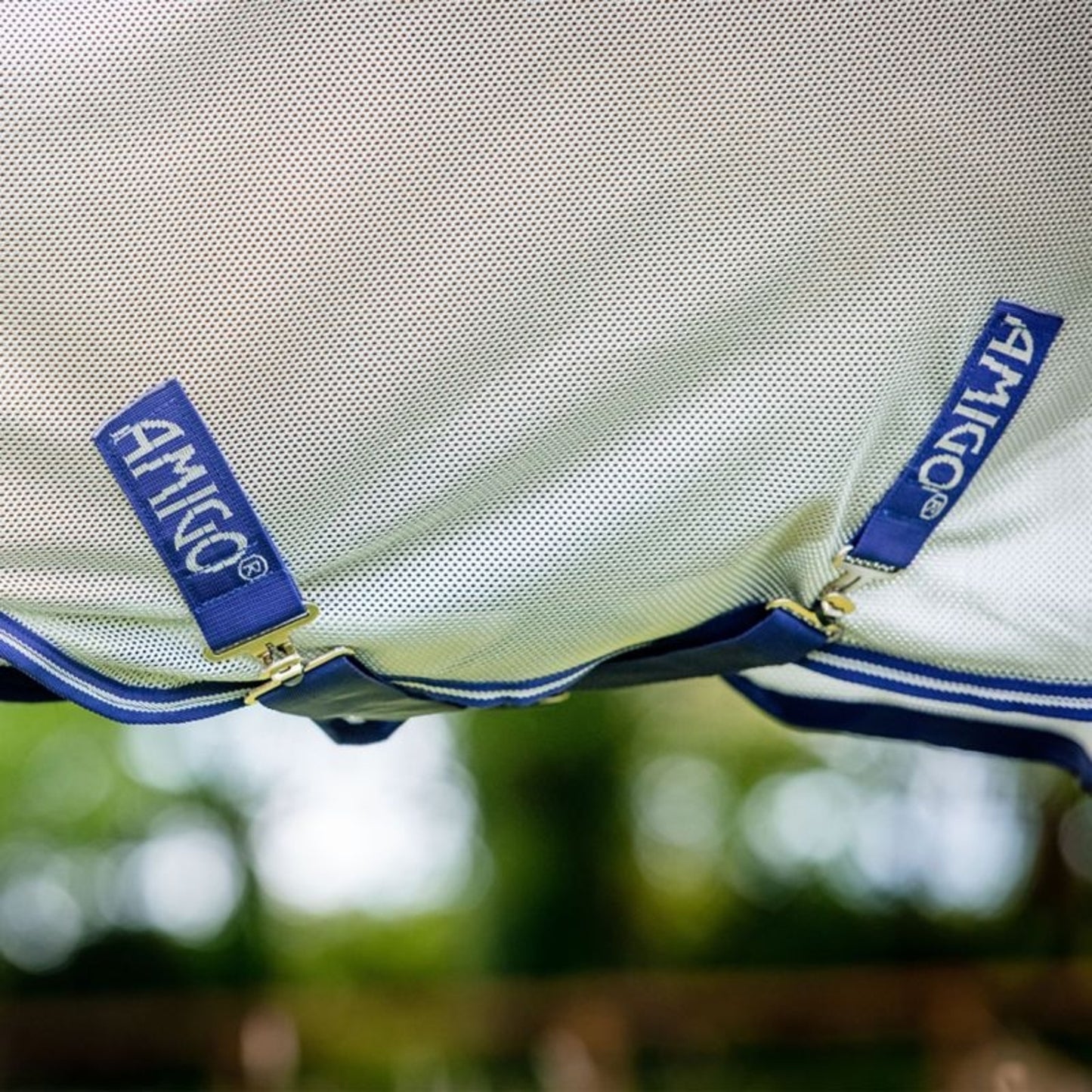 TE036036_01.jpg