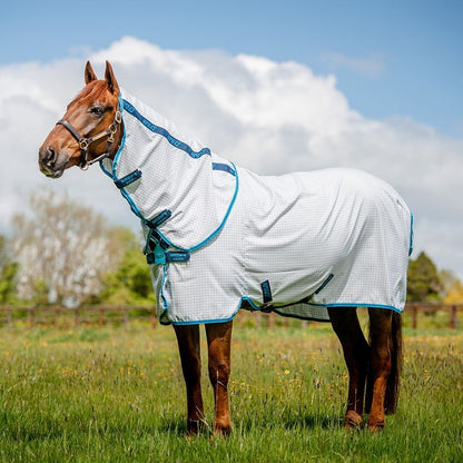 Amigo Summer Sheet Plus