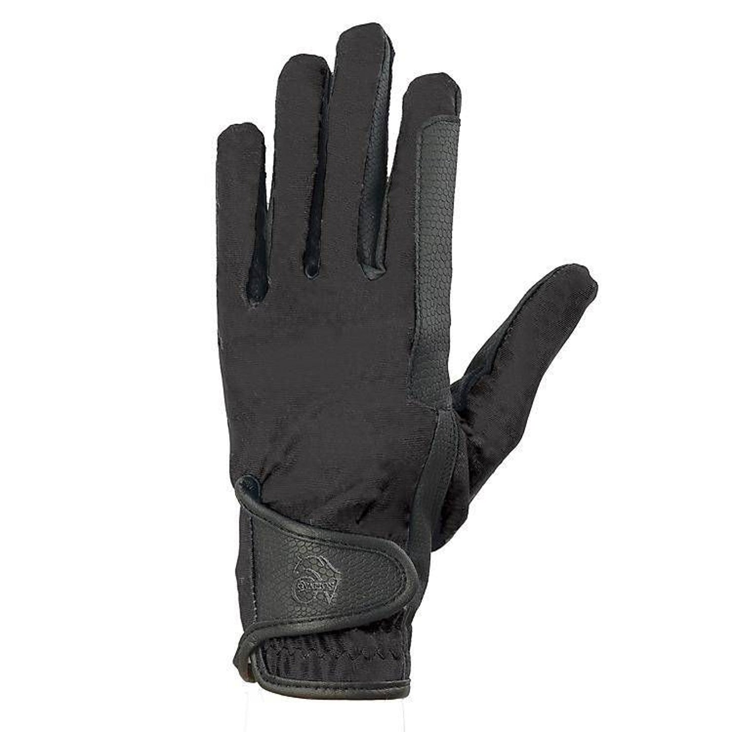 TE036348.jpg