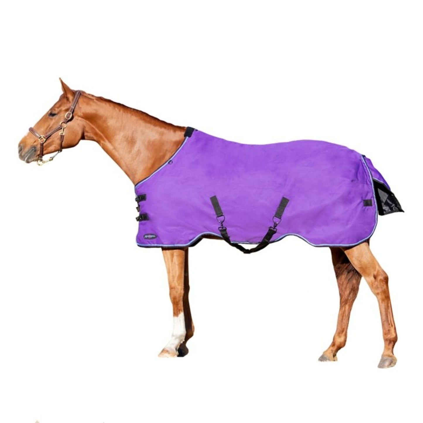 TE036582_891745_WO.jpg