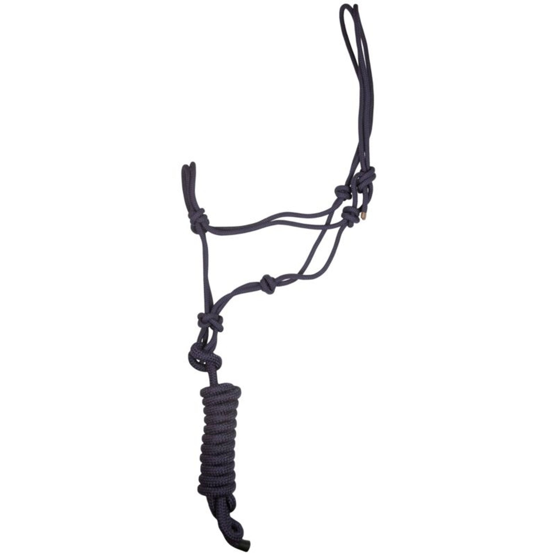 Gatsby Classic Cowboy Halter with Lead