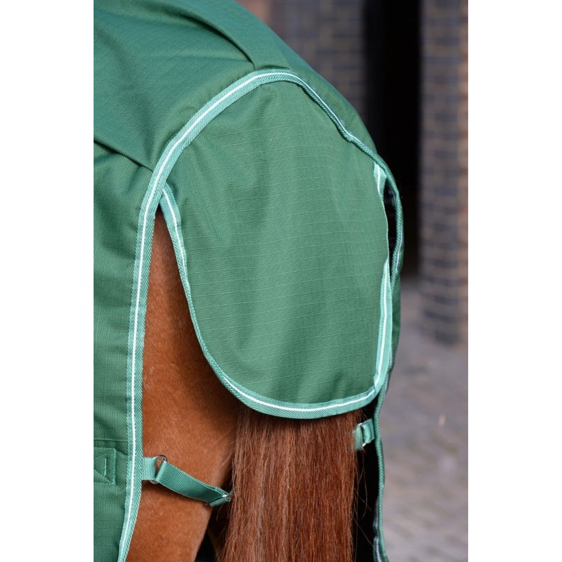 Saxon Defiant 1200D Stand Med TO