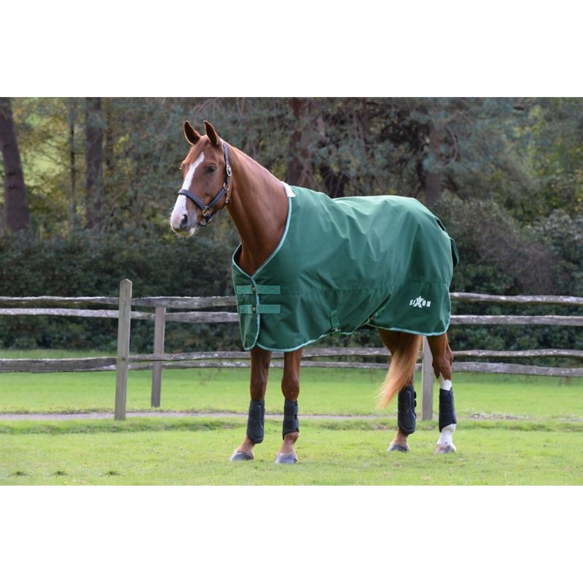 Saxon Defiant 1200D Stand Lite TO