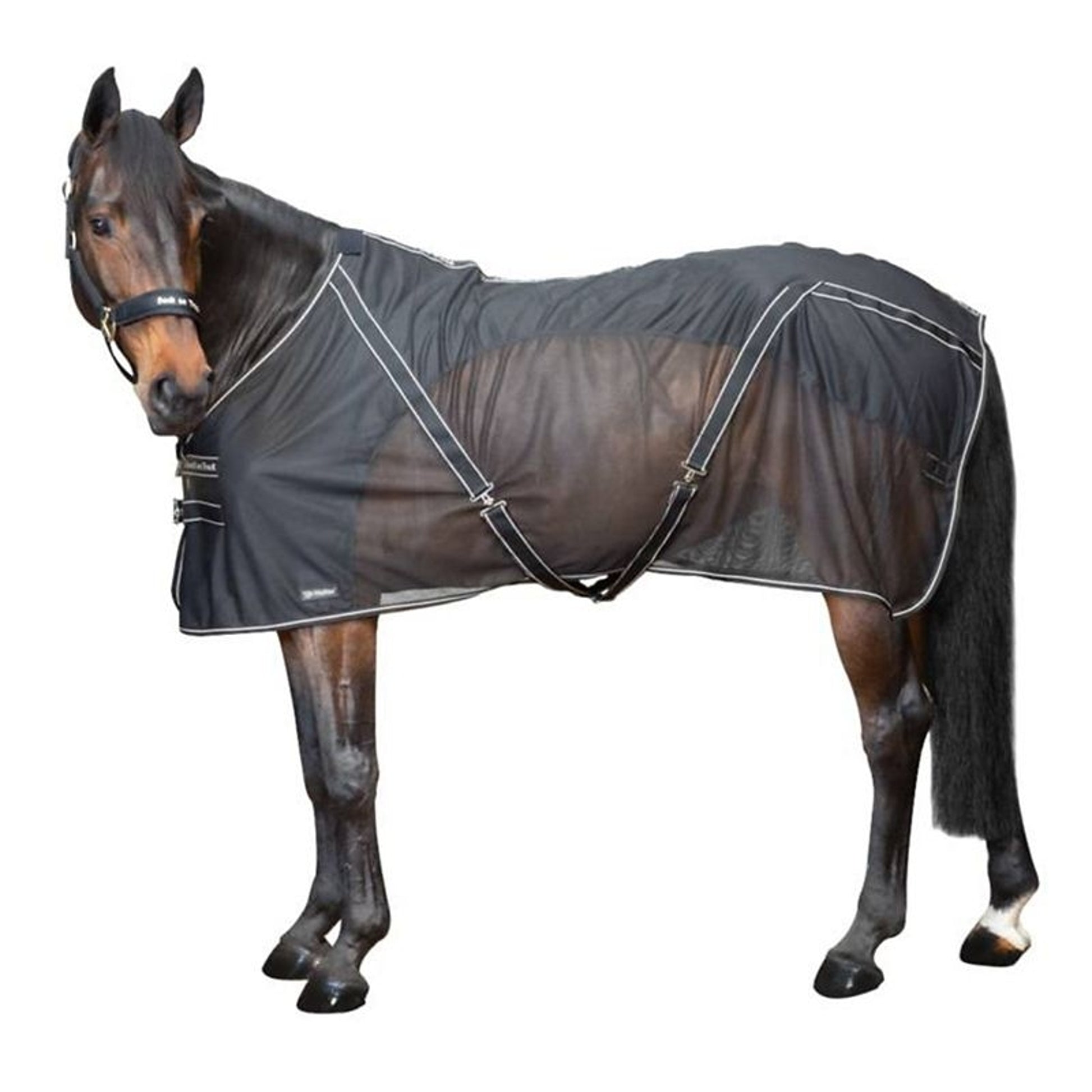 Back on Track Sienna Cooler with Knitted Lining