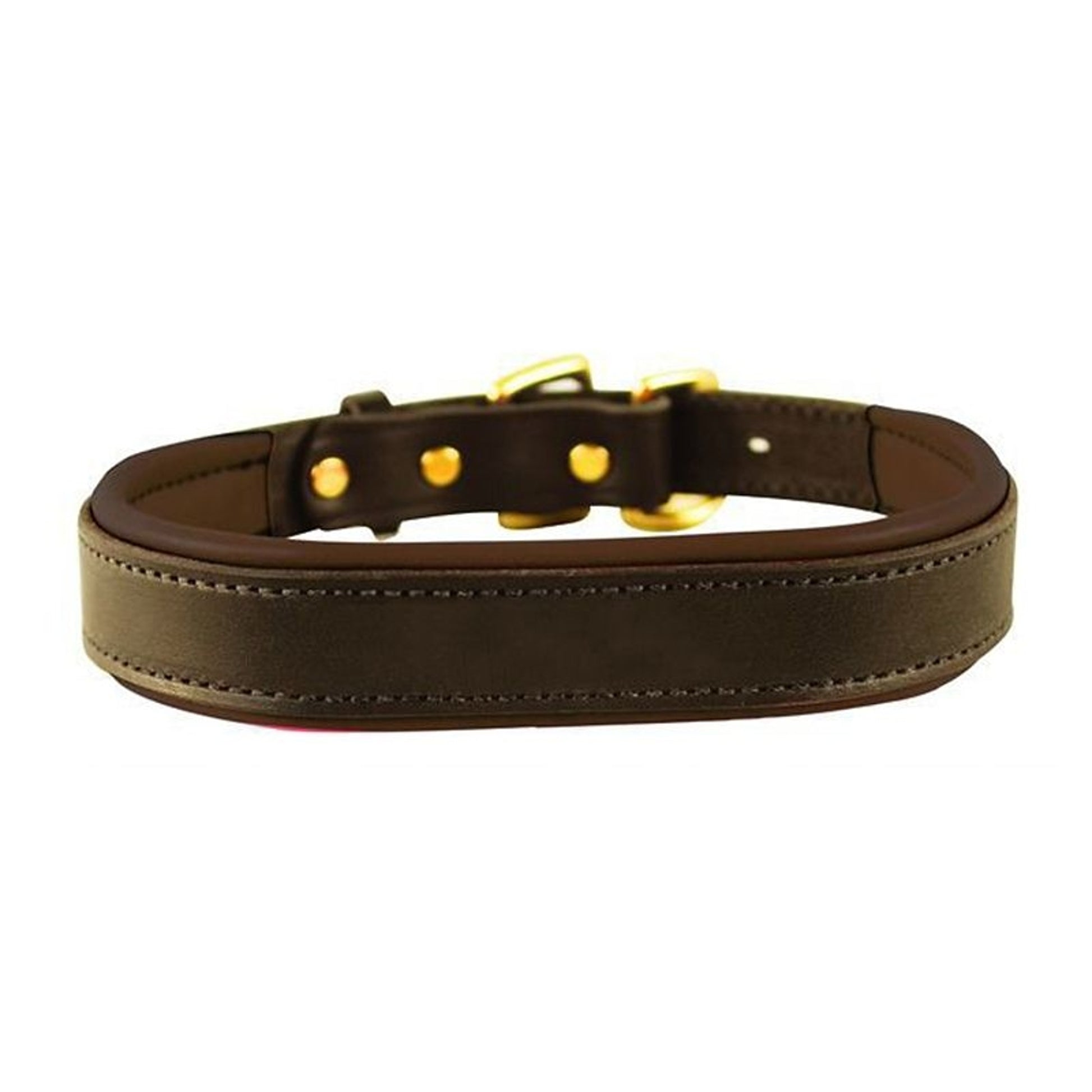 Perris Padded Leather Dog Collar