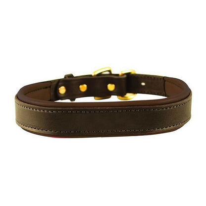 Perris Padded Leather Dog Collar