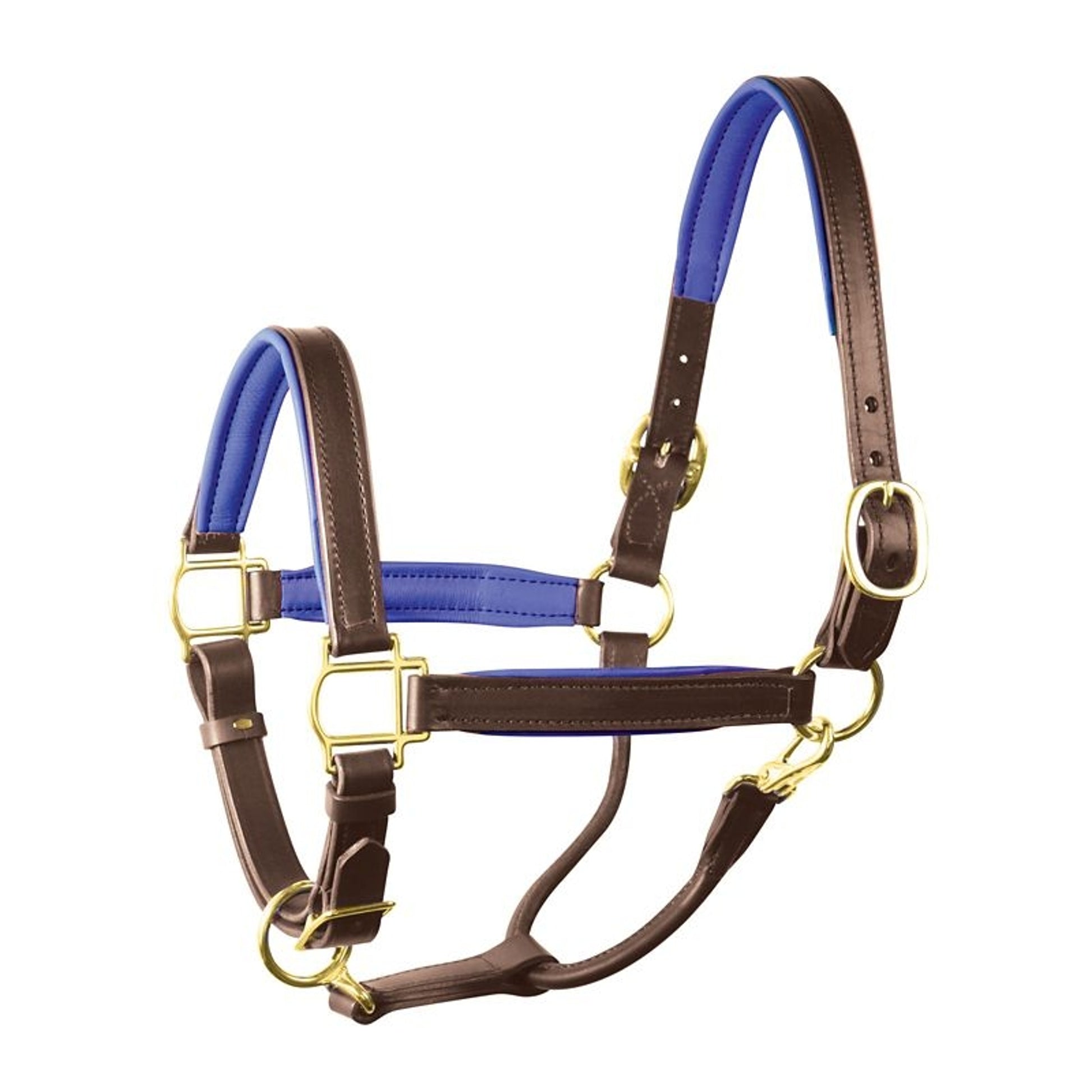 Perri's Personalized Padded Leather Halter
