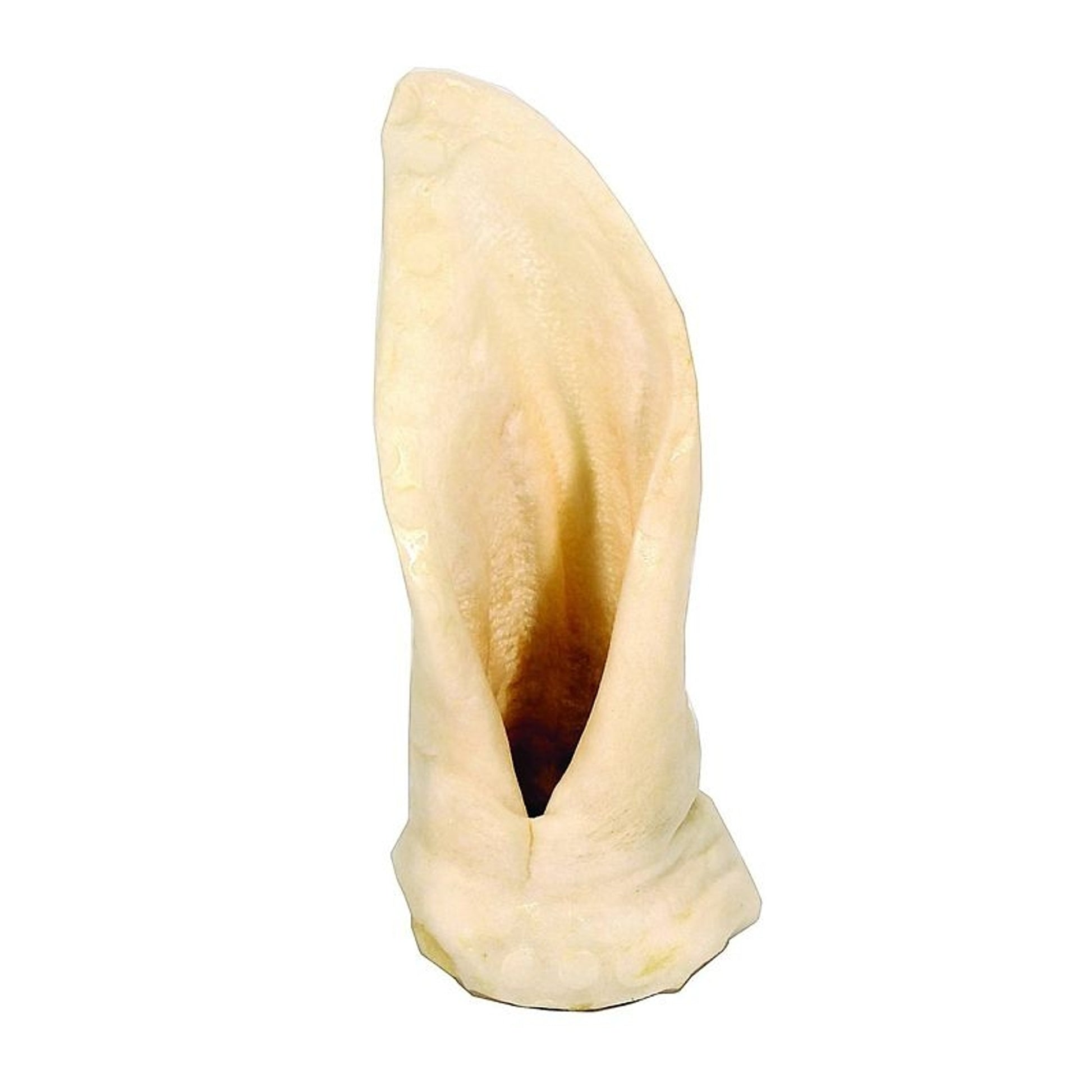 Natures Own Pet Chews Puffed Lamb Ear Dog Treat 6