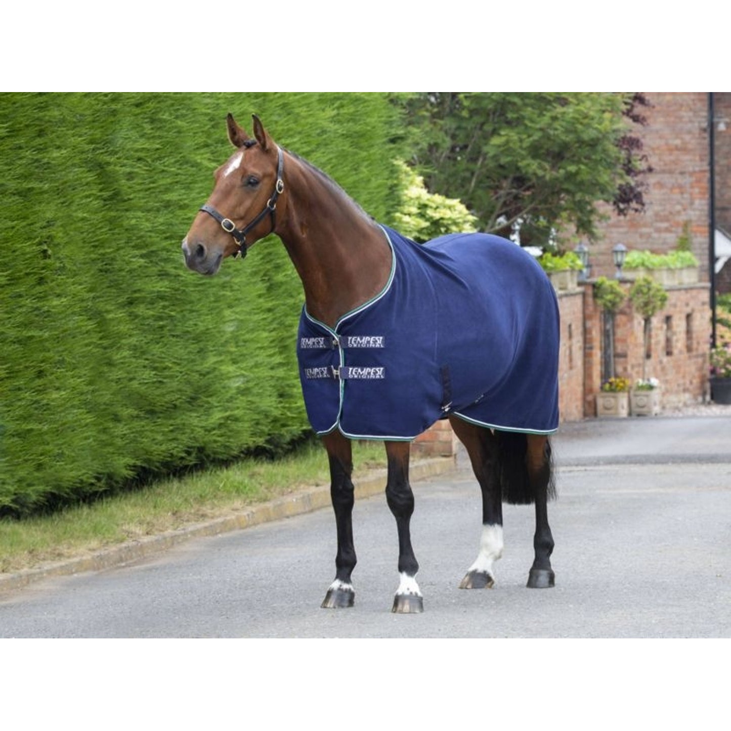 TE046016_921989_01.jpg