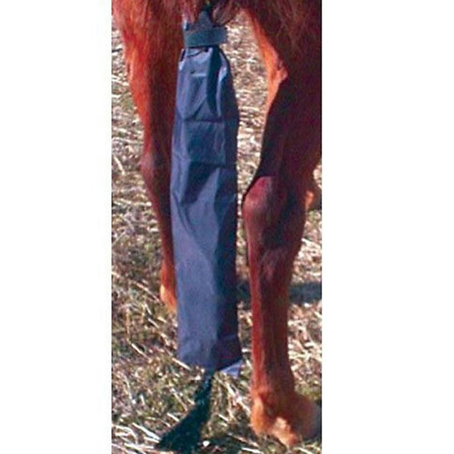 TE047151_723715.jpg