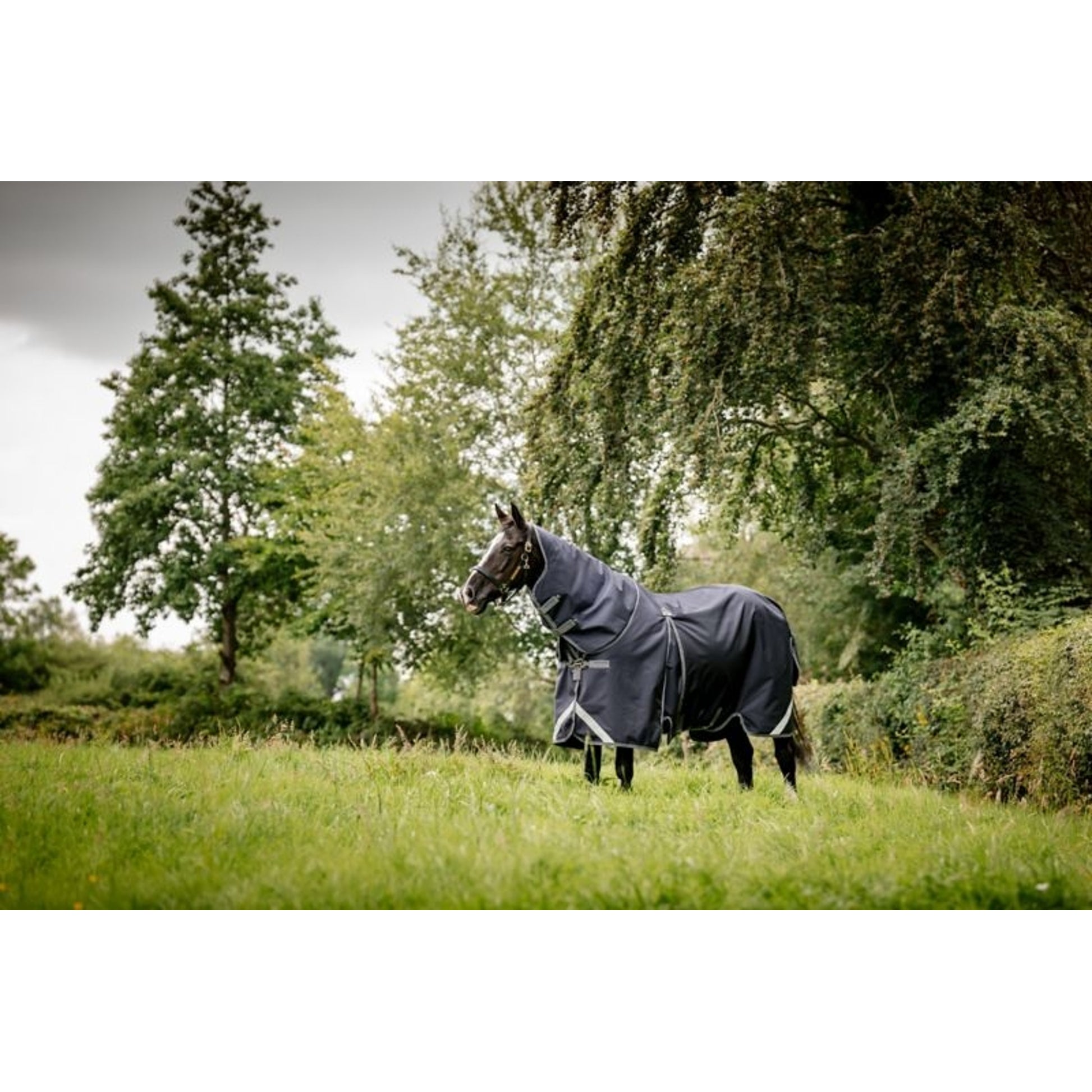 Rambo Optimo Plus Turnout Bundle