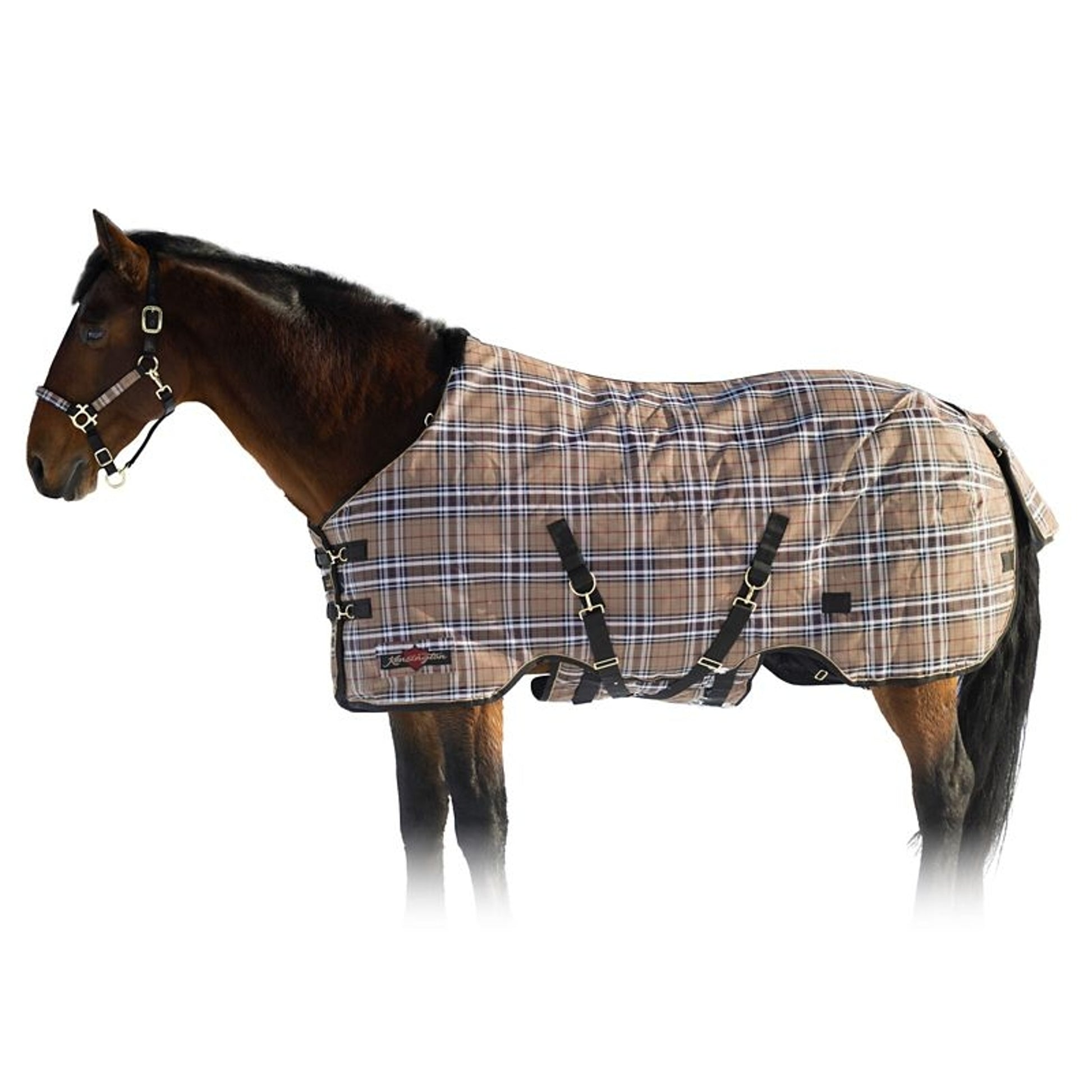 Kensington SuperMesh Turnout 180G