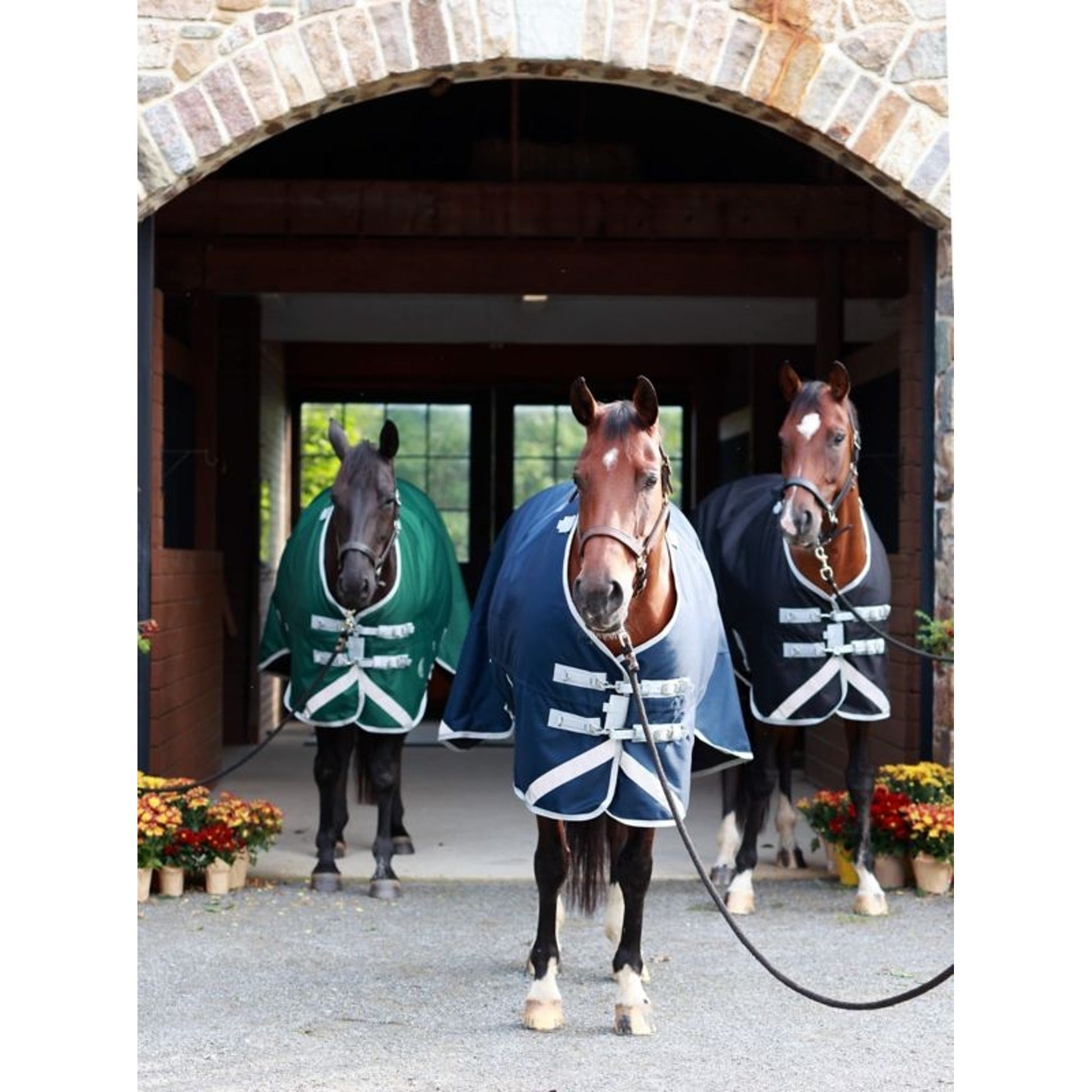Centaur TG1 Horse Blanket