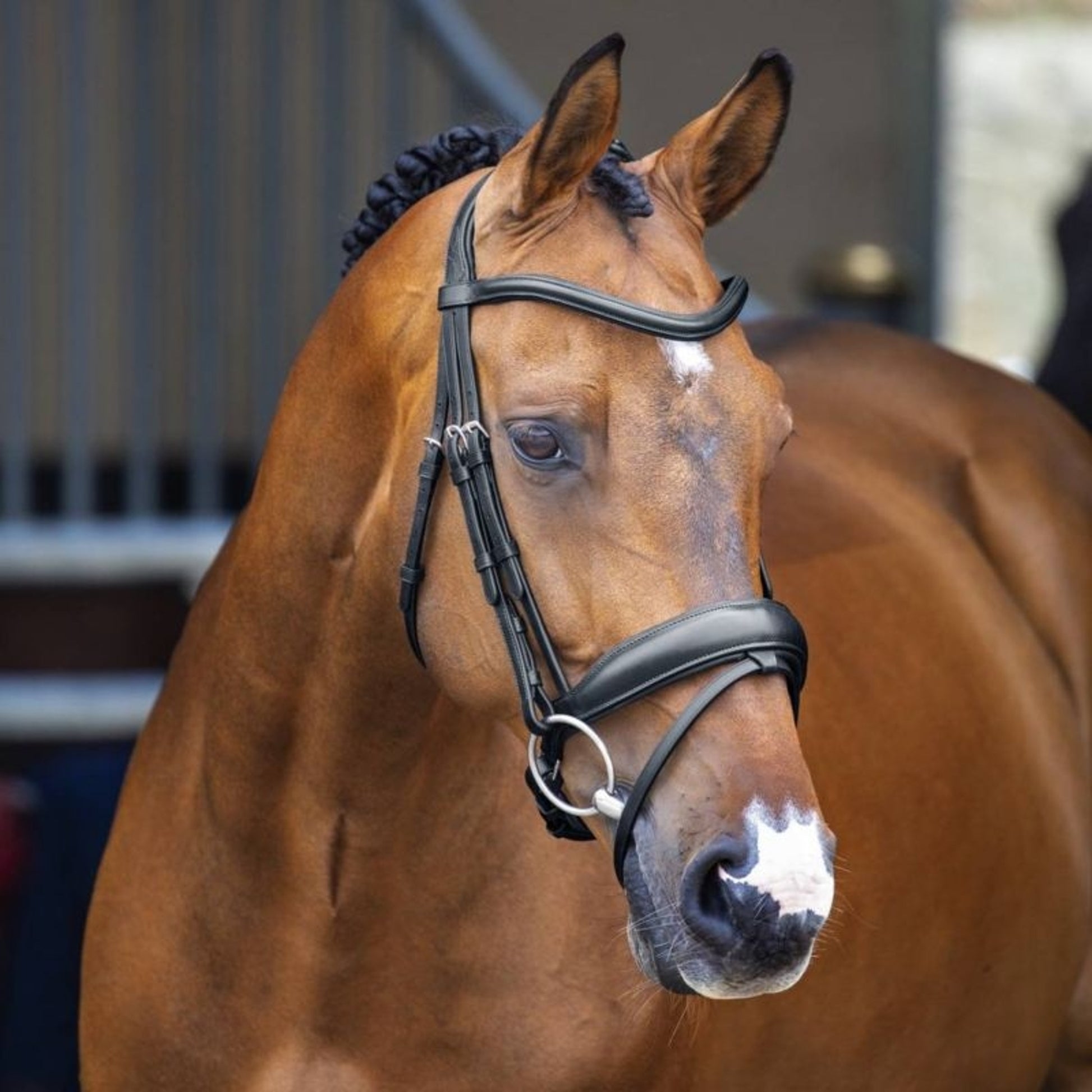 Shires Velociti Lusso Dressage Flash Bridle
