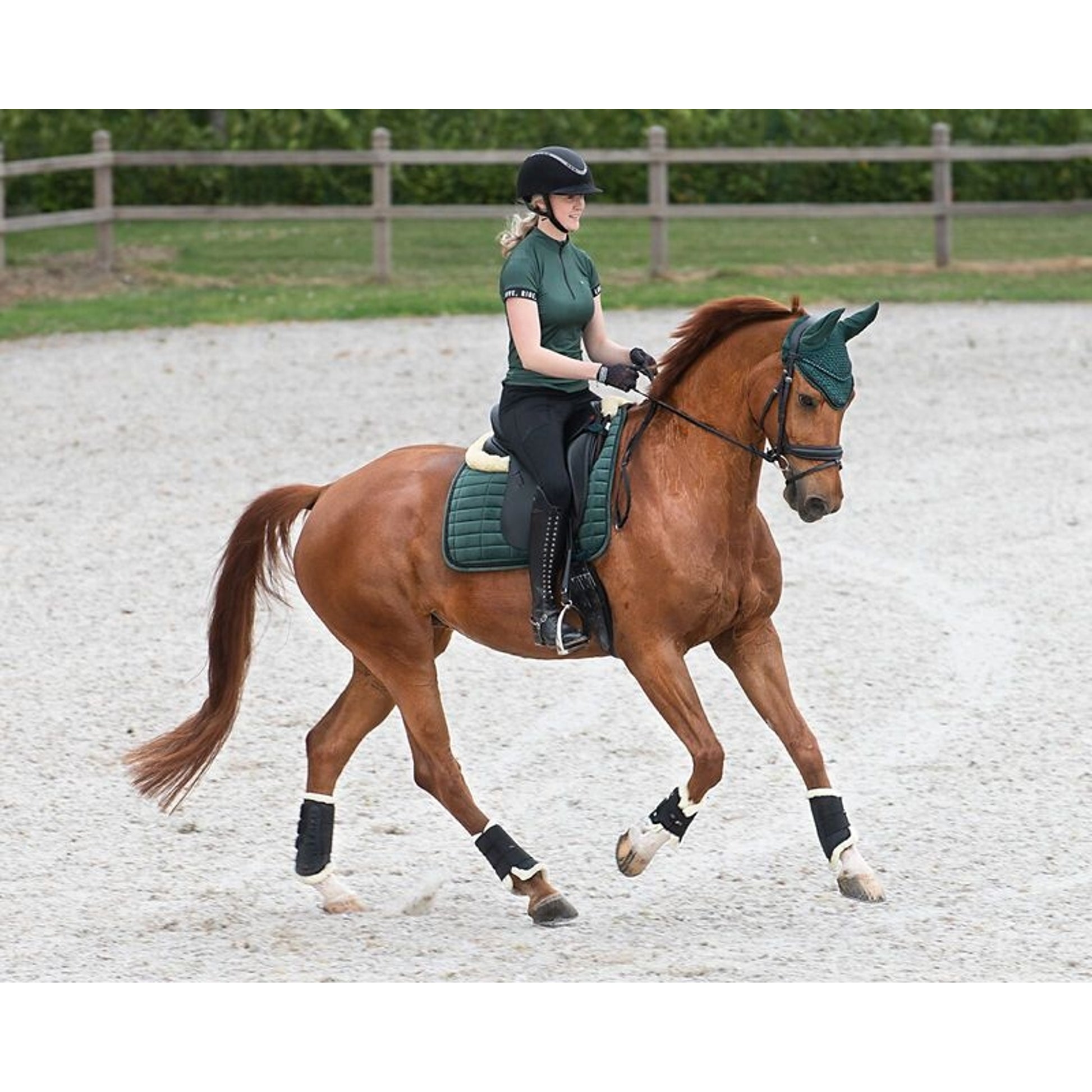 QHP Astana Crystal Dressage Pad
