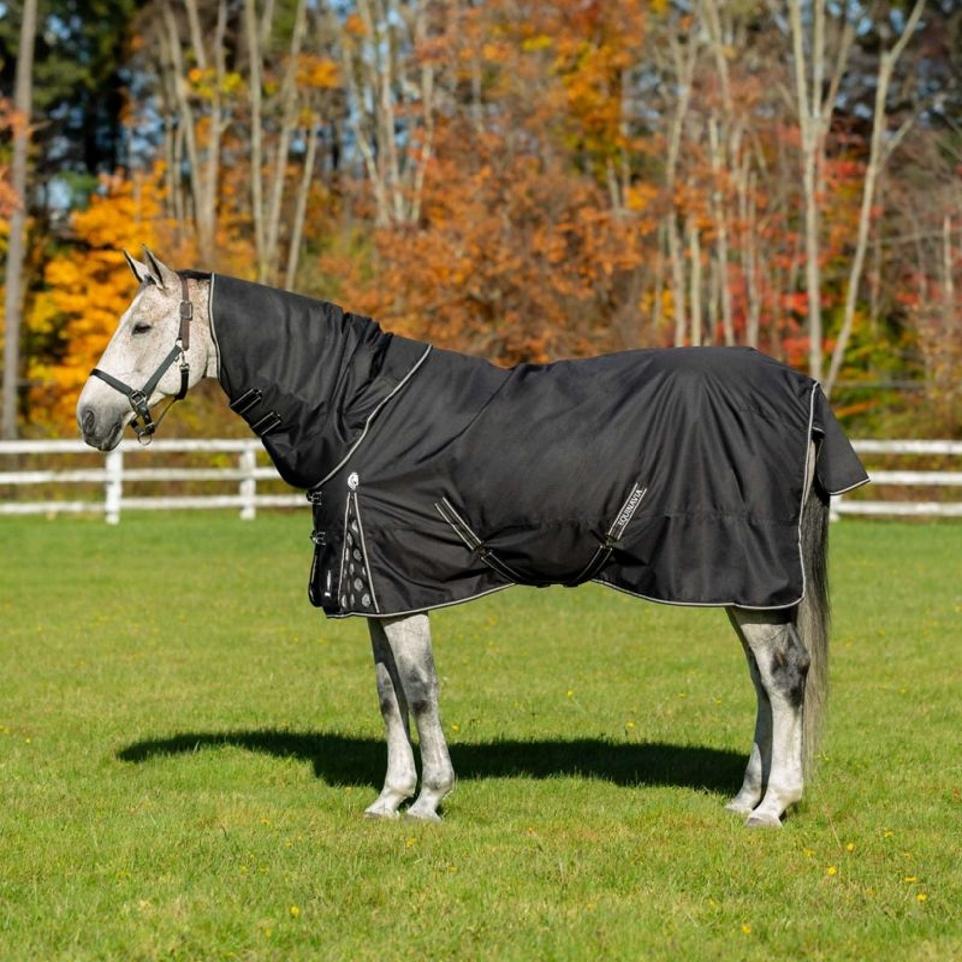 Equinavia Norse Turnout Sheet