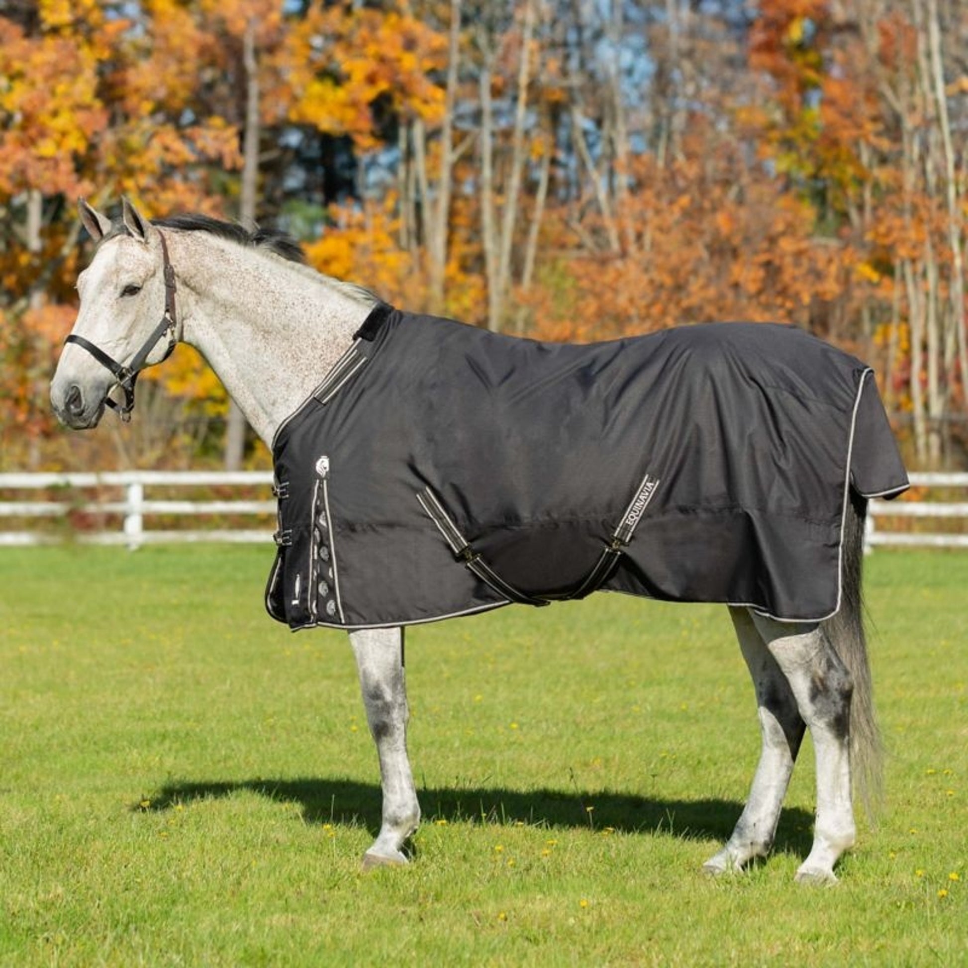 Equinavia Norse MidWeight Turnout Blanket 200g