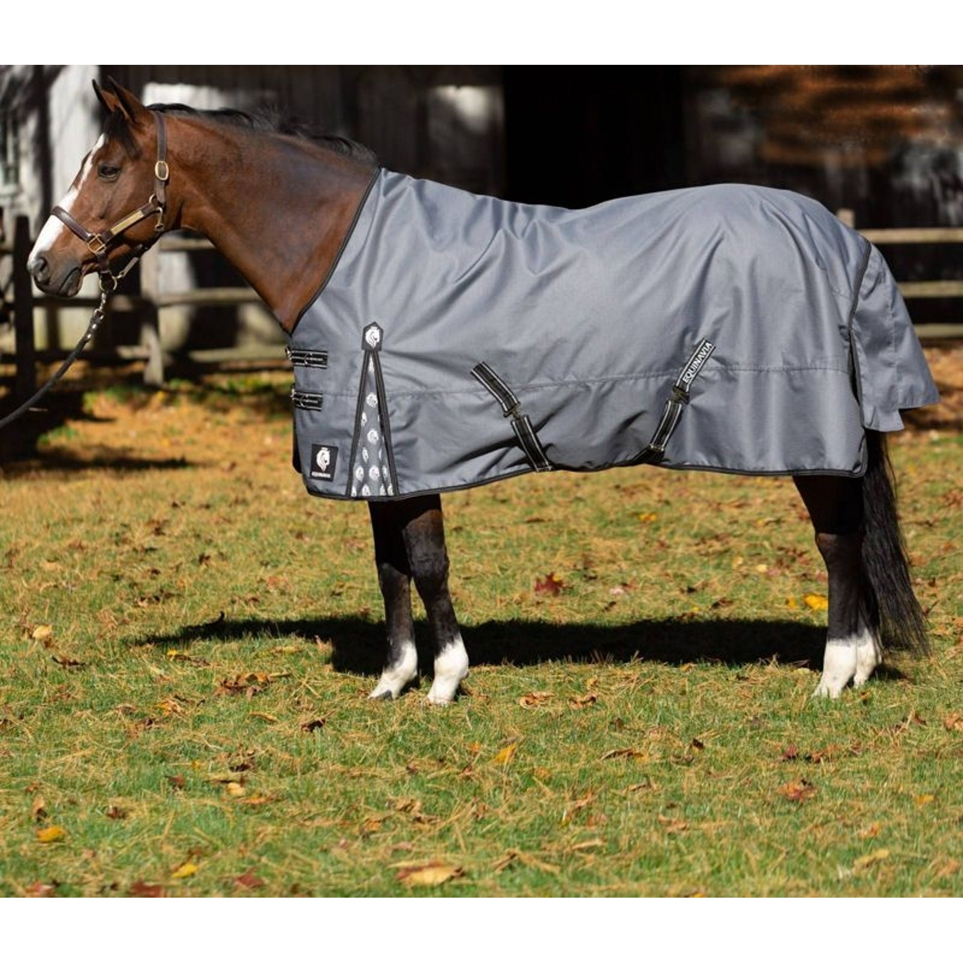 Equinavia Arktis Regular Neck Mid Weight Turnout Blanket 200g