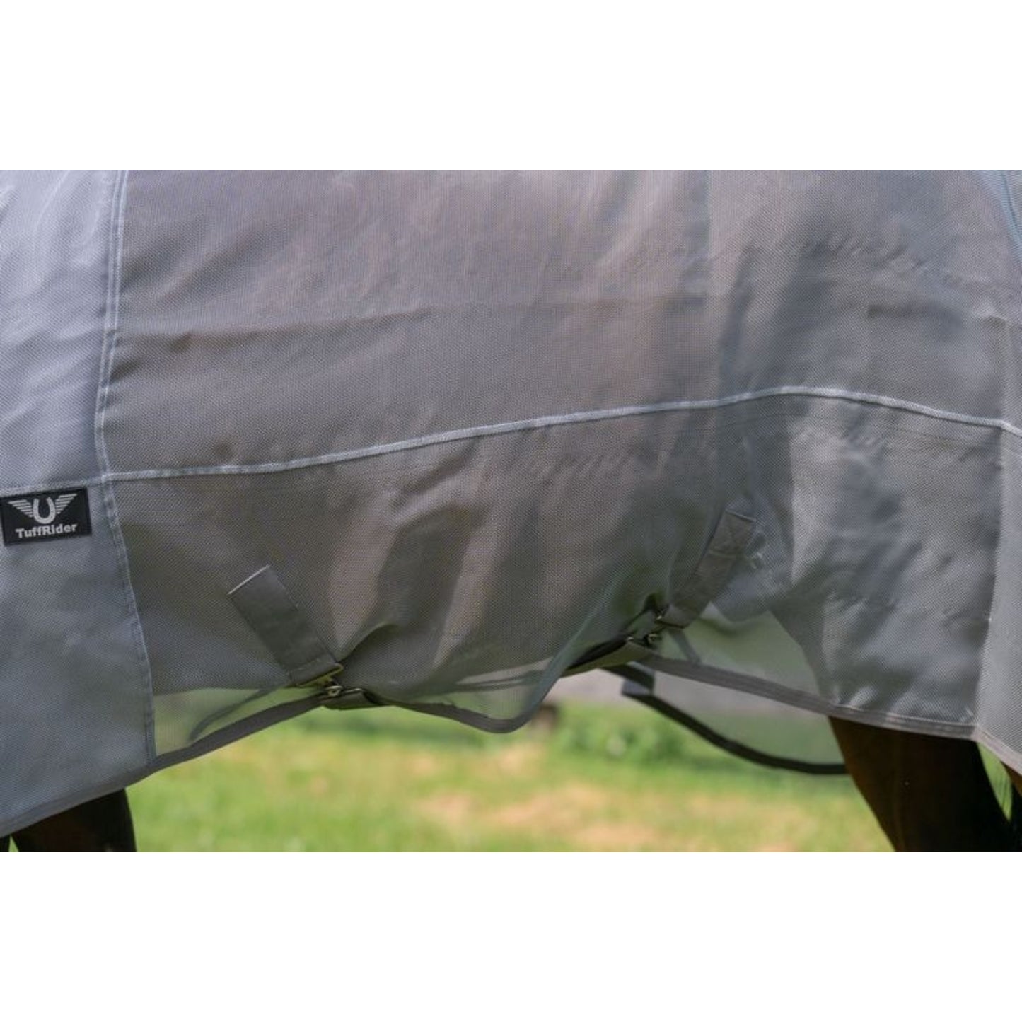 TE059039_SLV_04.jpg
