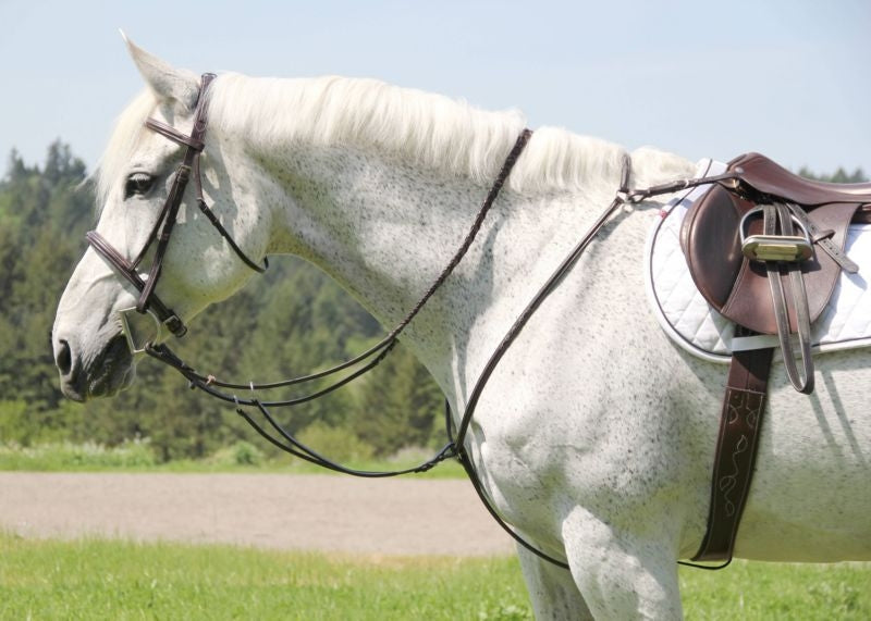 Silverleaf Plain Breastplate With Running