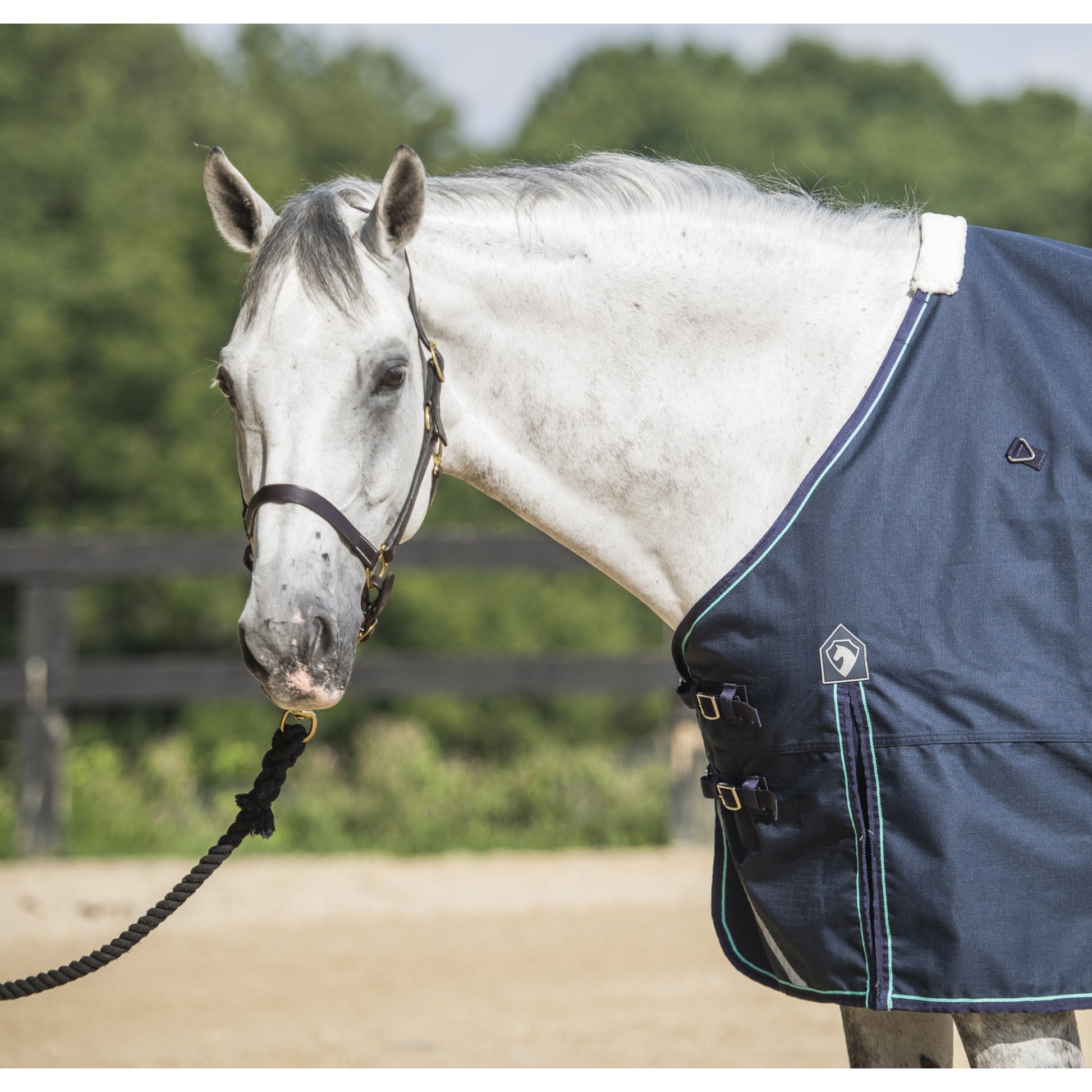 Defender Platinum 1200D Turnout Sheet