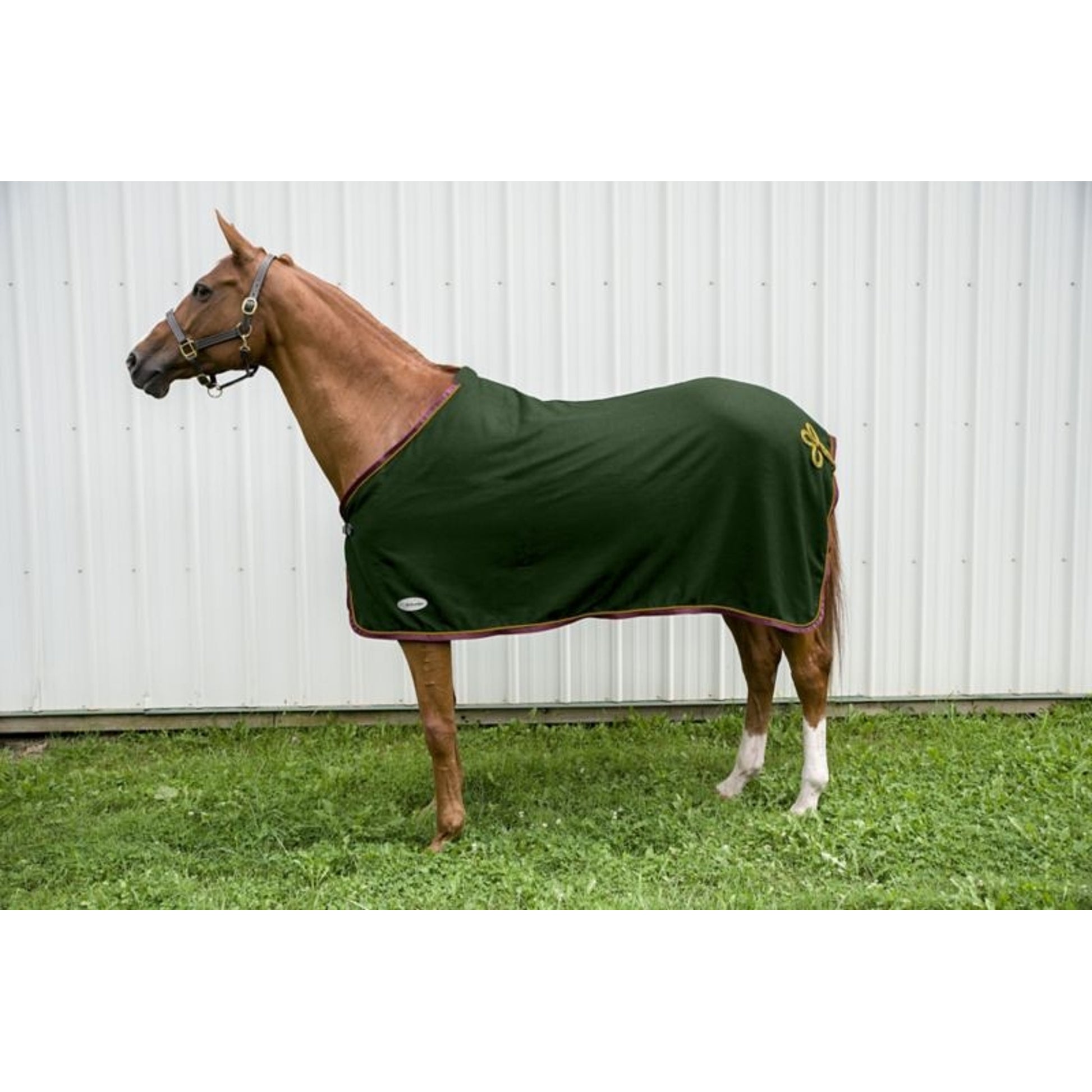 Defender Wool Dress Cooler
