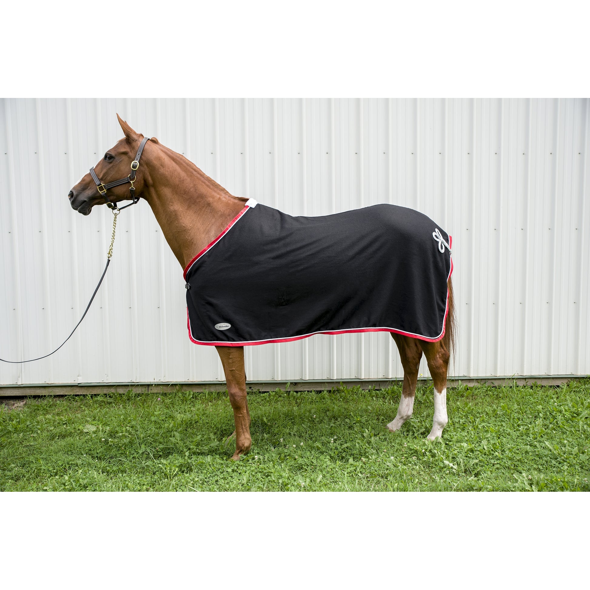 Defender Wool Dress Cooler