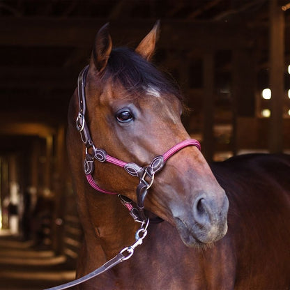 OEQ Leather Rope Halter