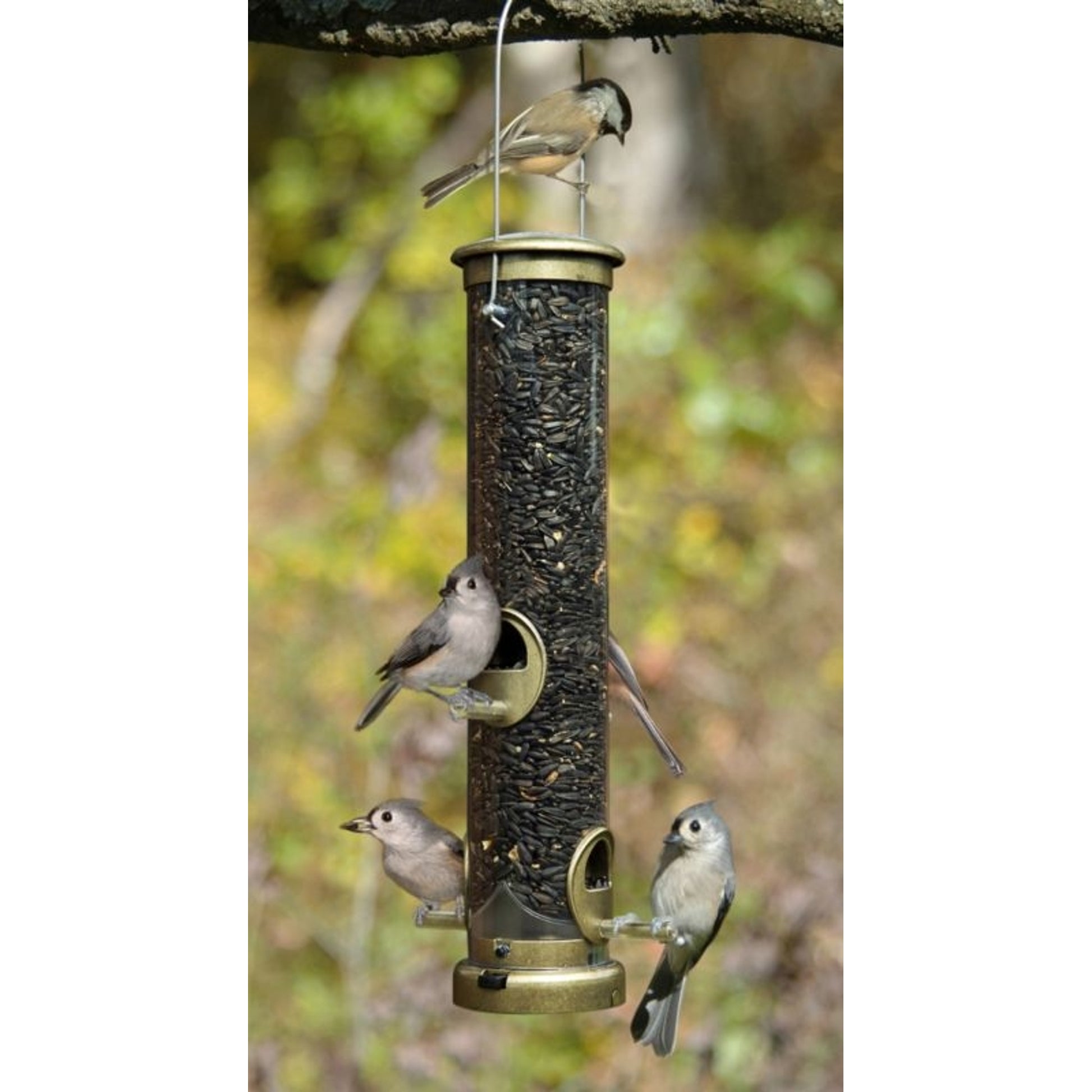 Medium Seed Tube Bird Feeder