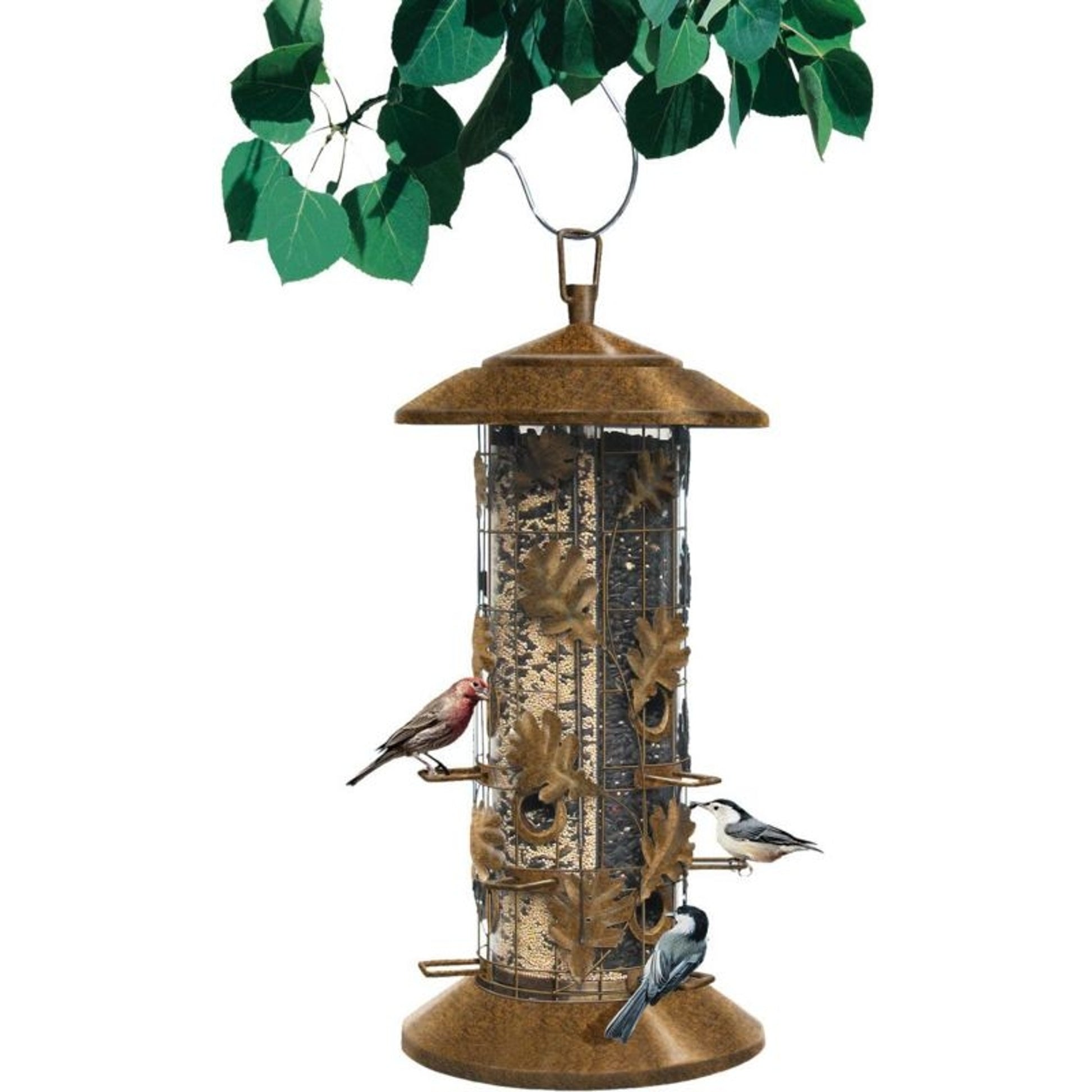 Squirrel Be Gone III Bird Feeder