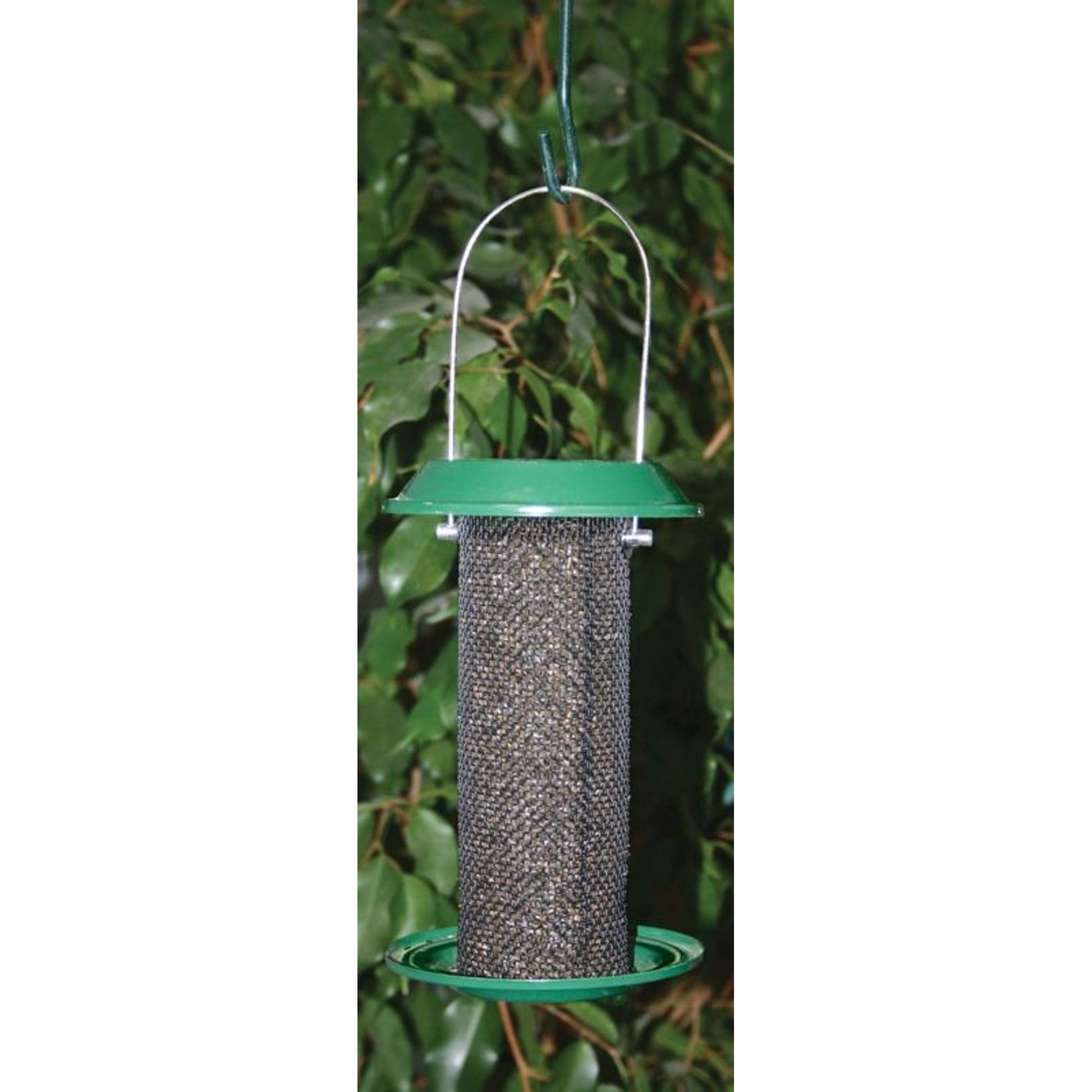 Magnum Thistle Feeder 1 Pt