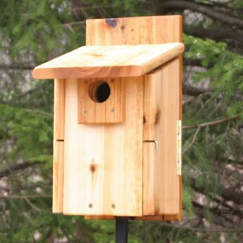 Stovall Western Mountain Bluebird House