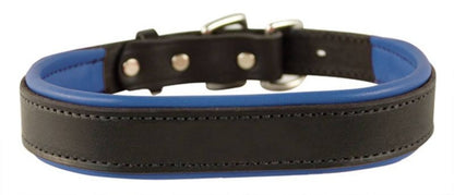 Perris Padded Leather Dog Collar